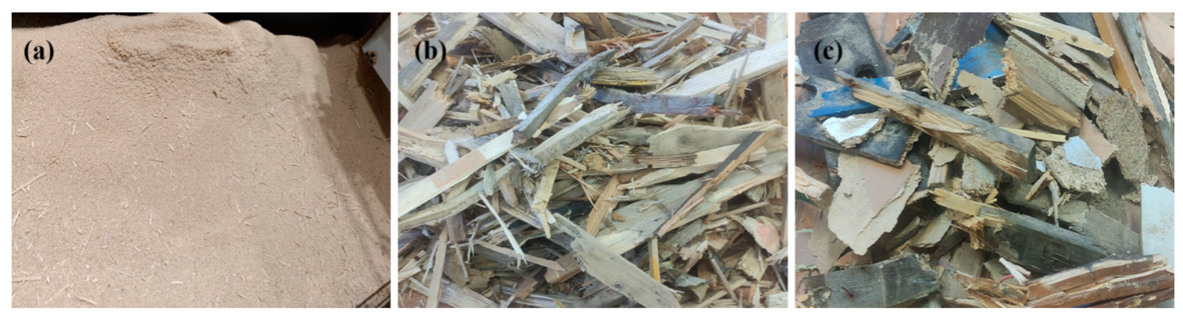 Forests 16 00577 g002