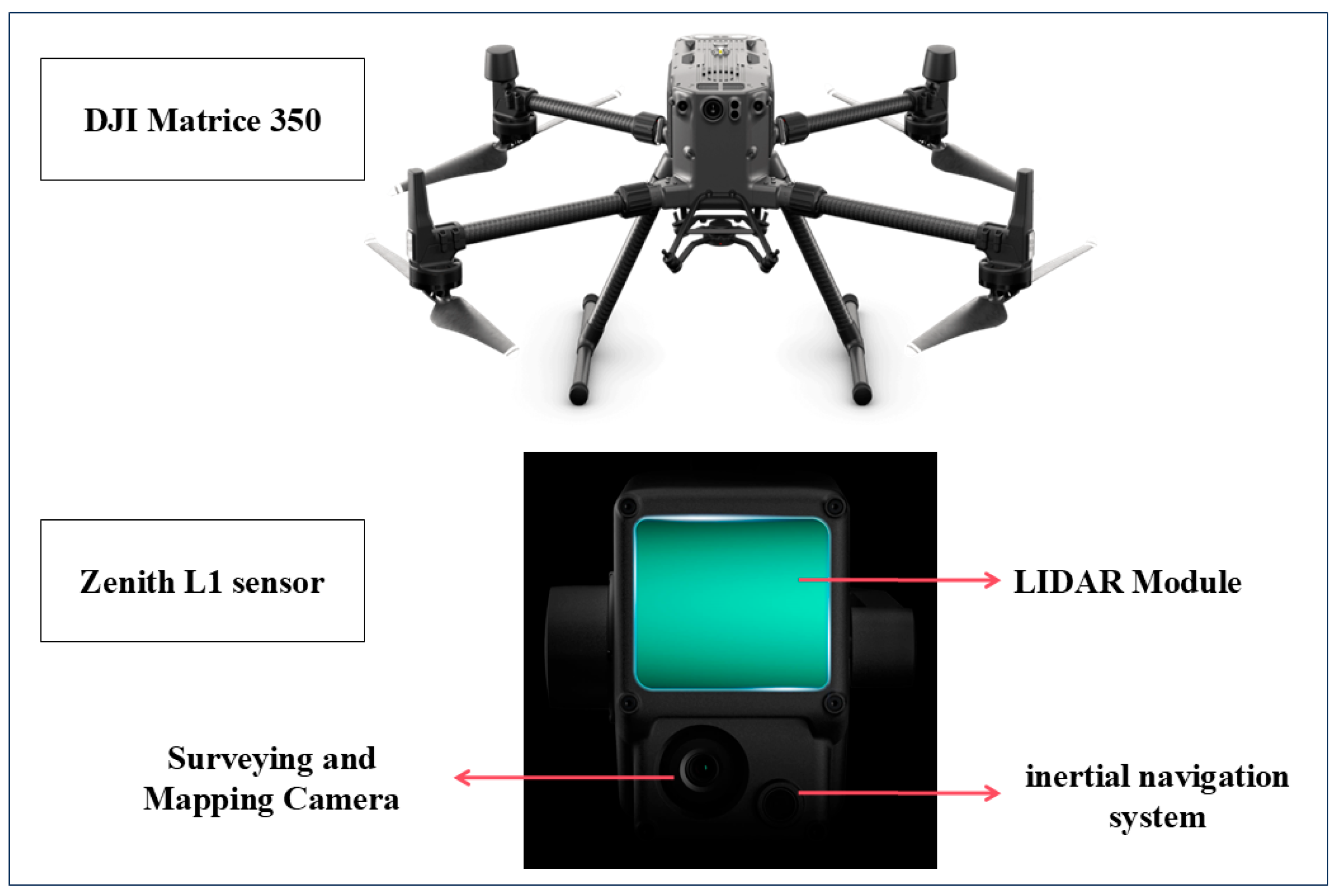 Forests 16 00578 g002