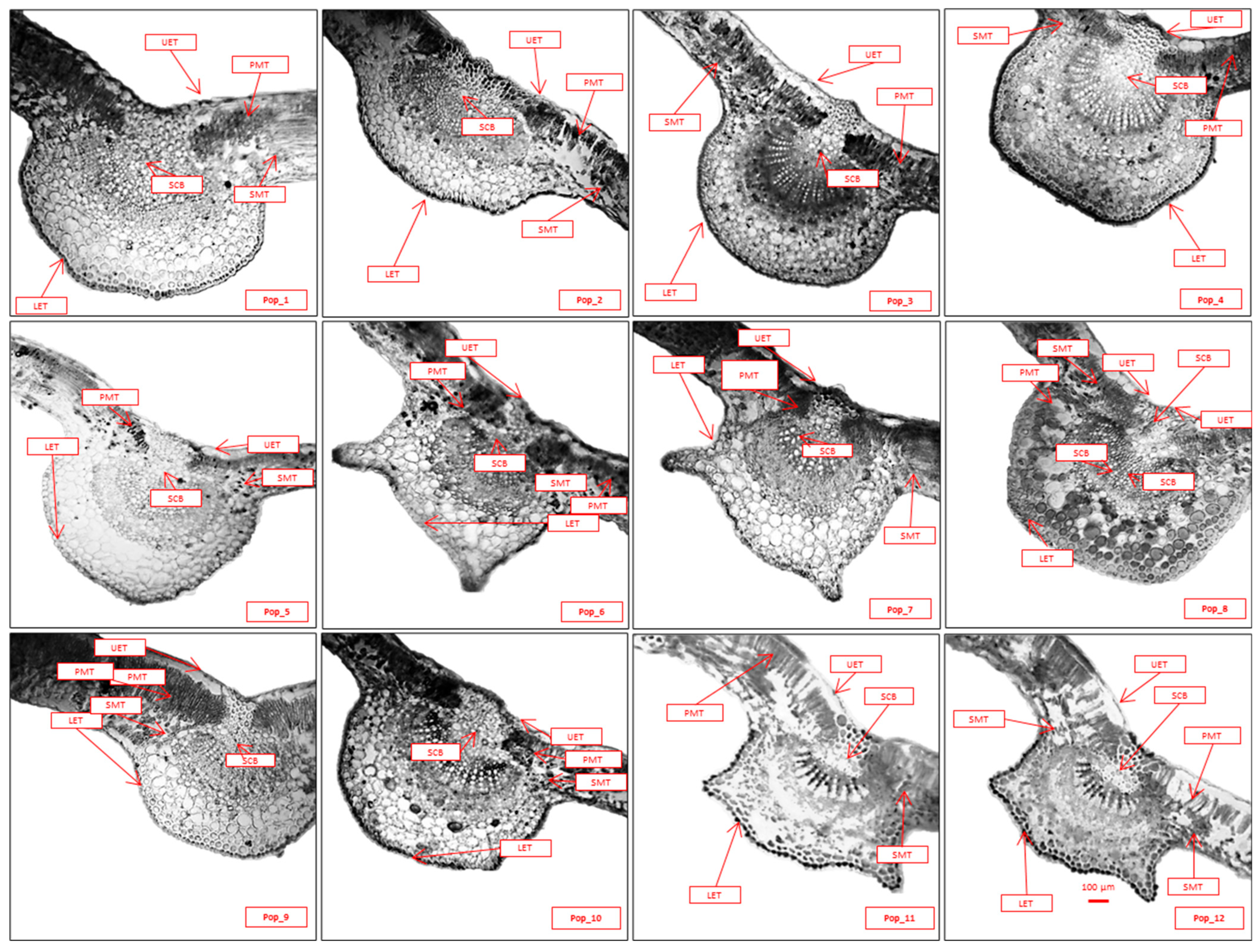 Forests 16 00585 g006