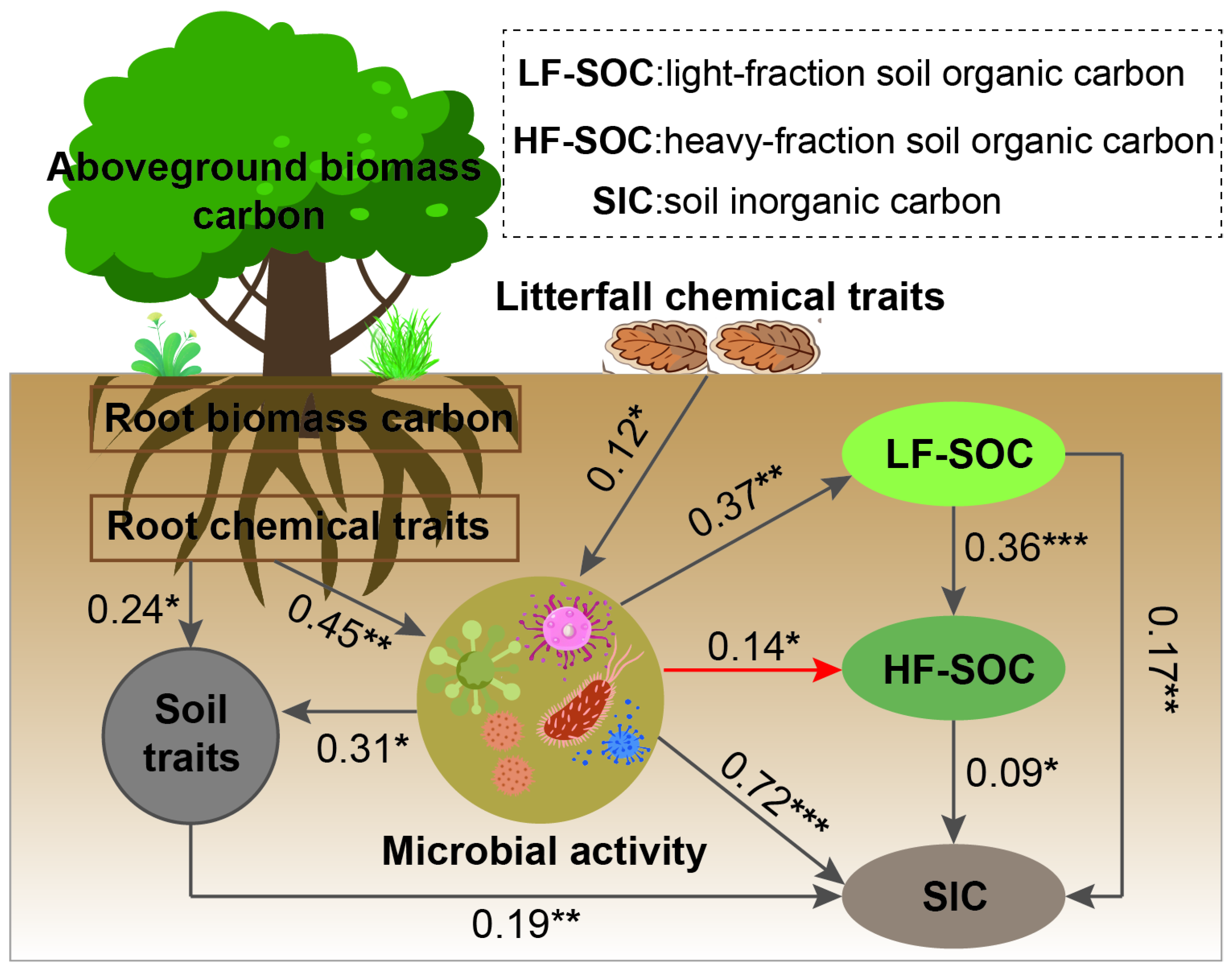 Forests 16 00586 g008