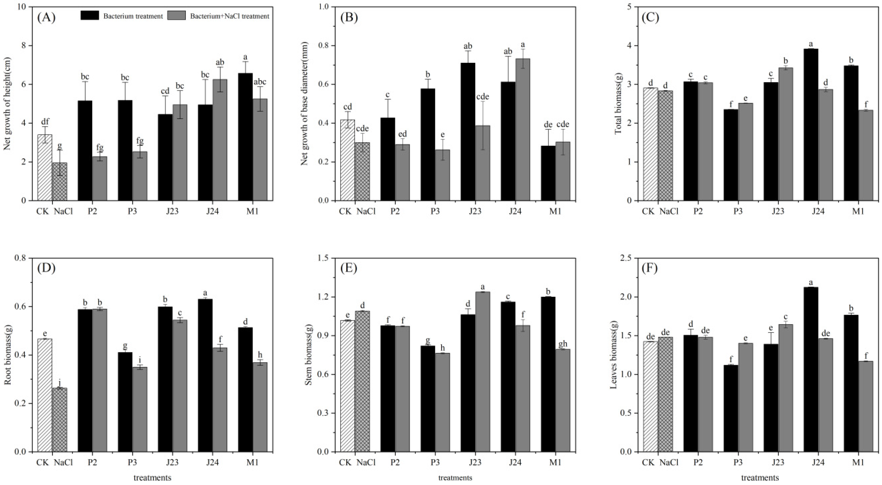 Forests 16 00591 g004