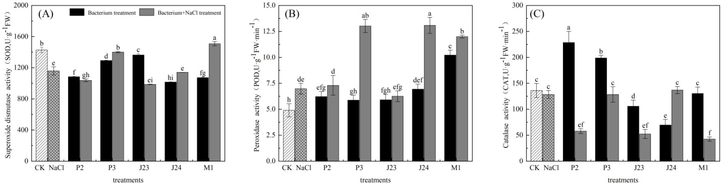 Forests 16 00591 g005
