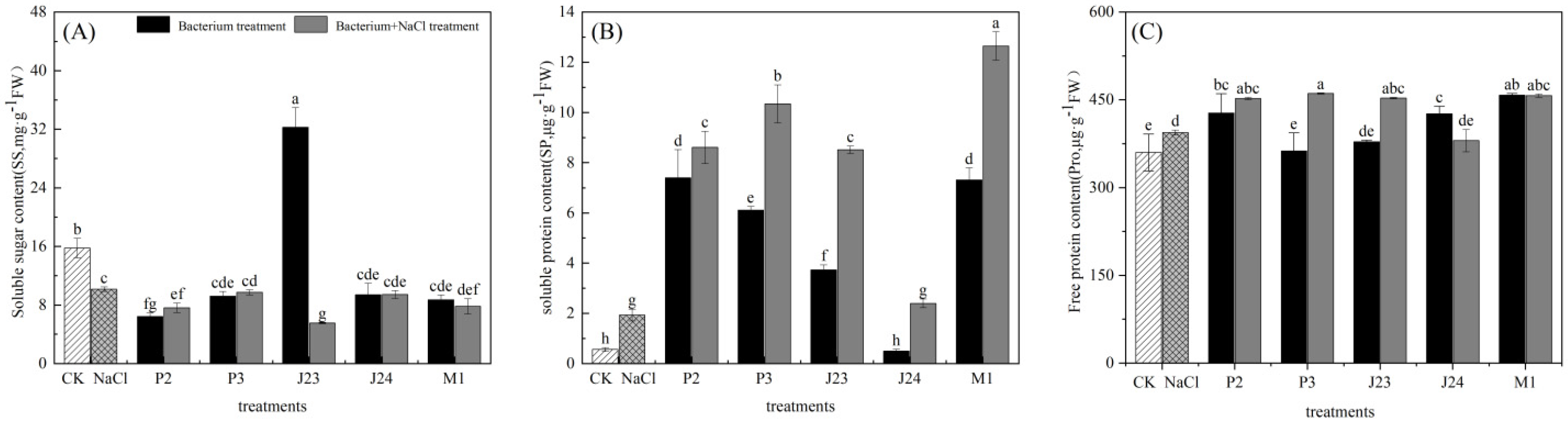 Forests 16 00591 g006