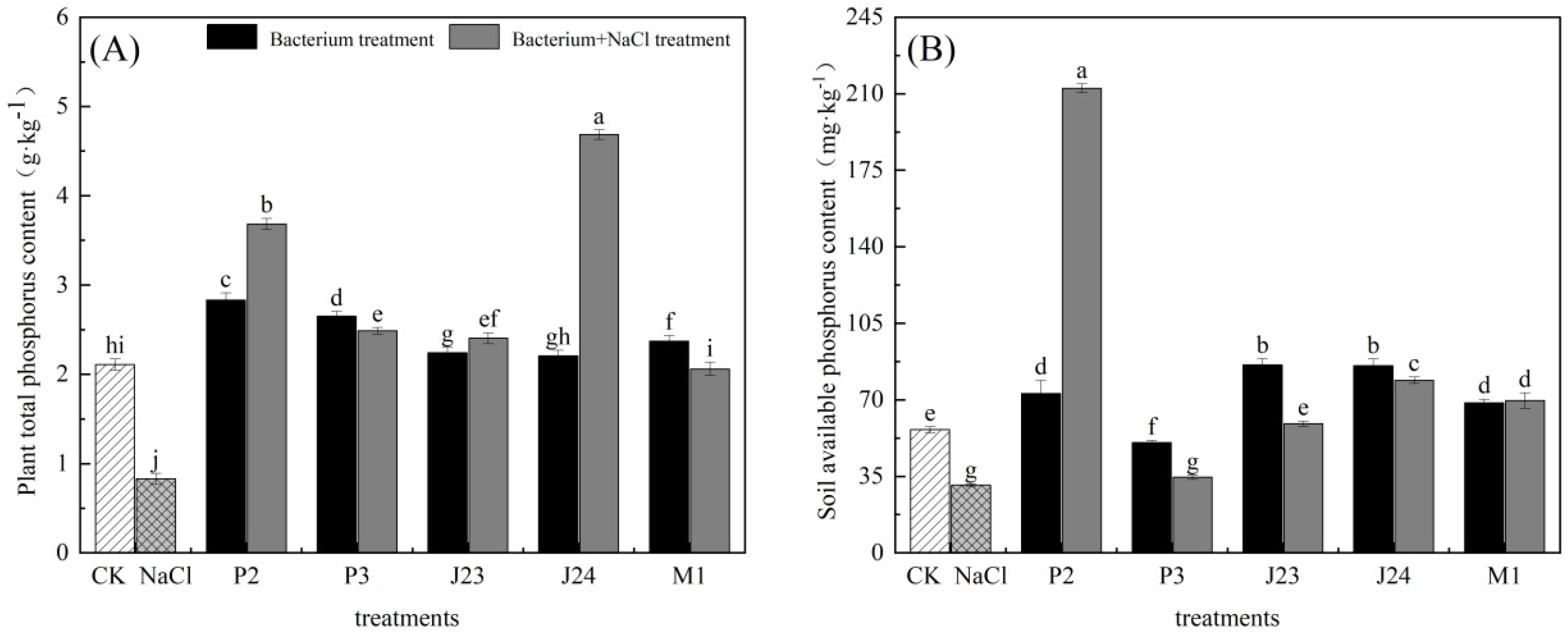 Forests 16 00591 g007
