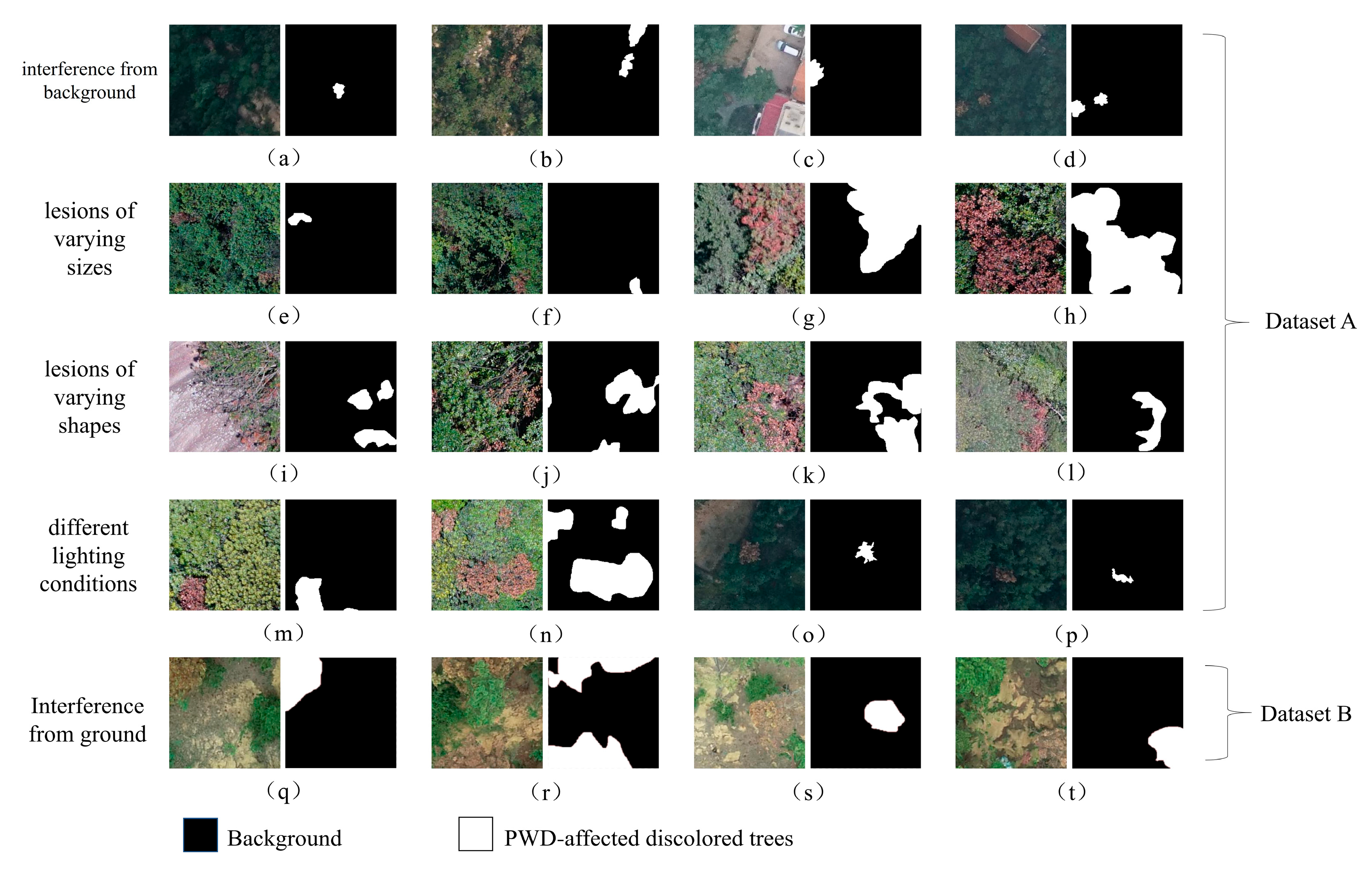 Forests 16 00596 g002