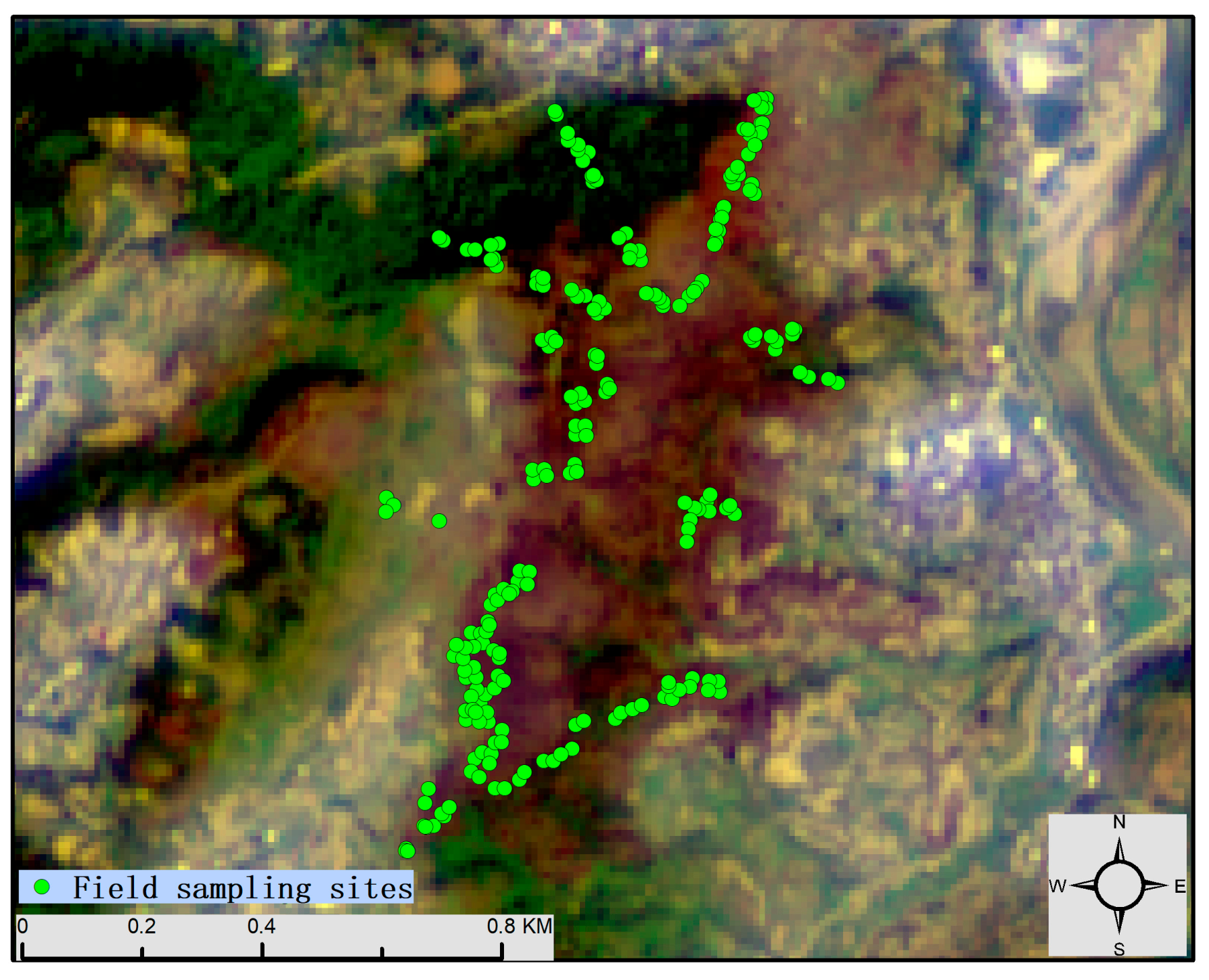 Forests 16 00597 g003