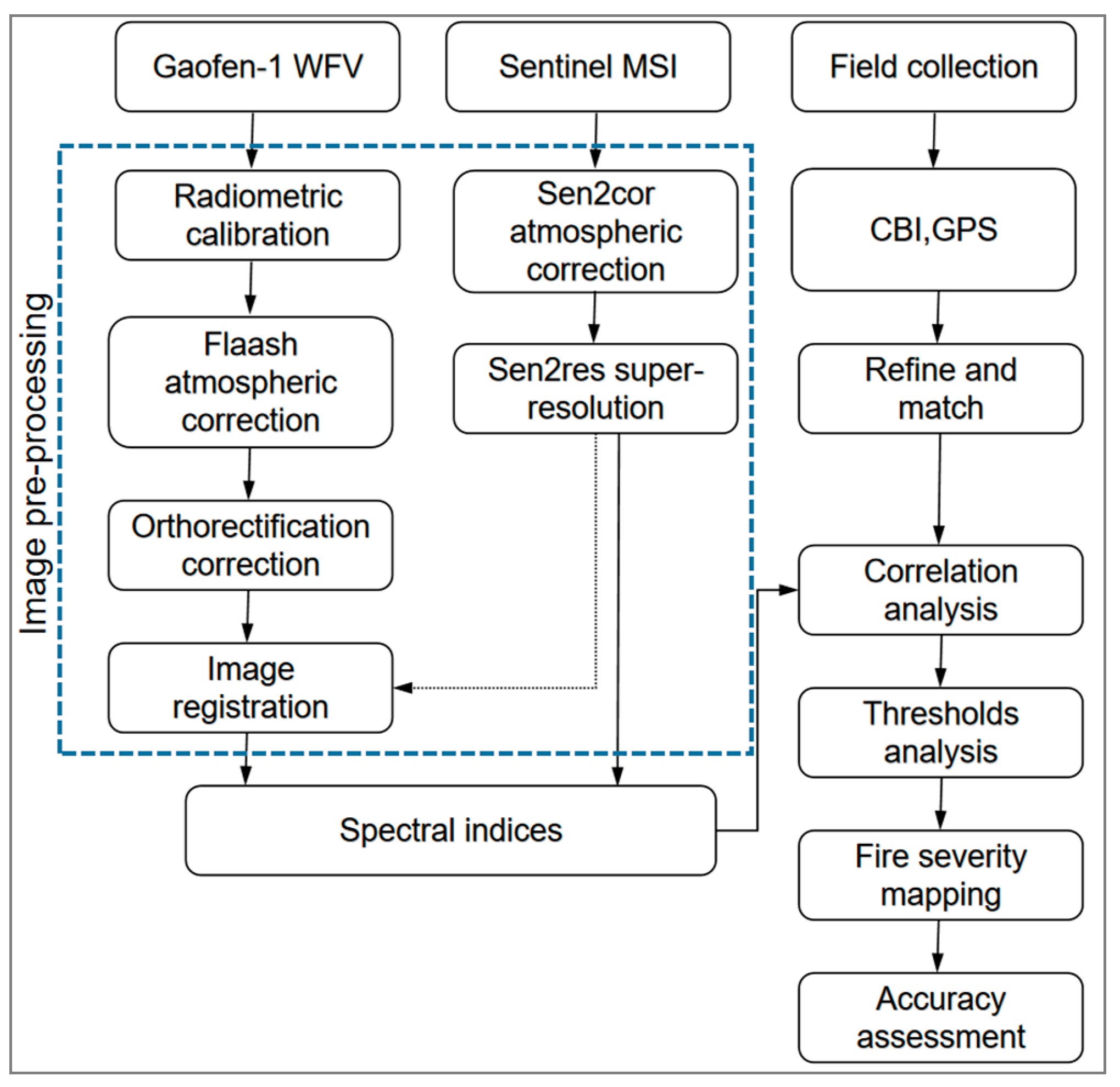 Forests 16 00597 g005