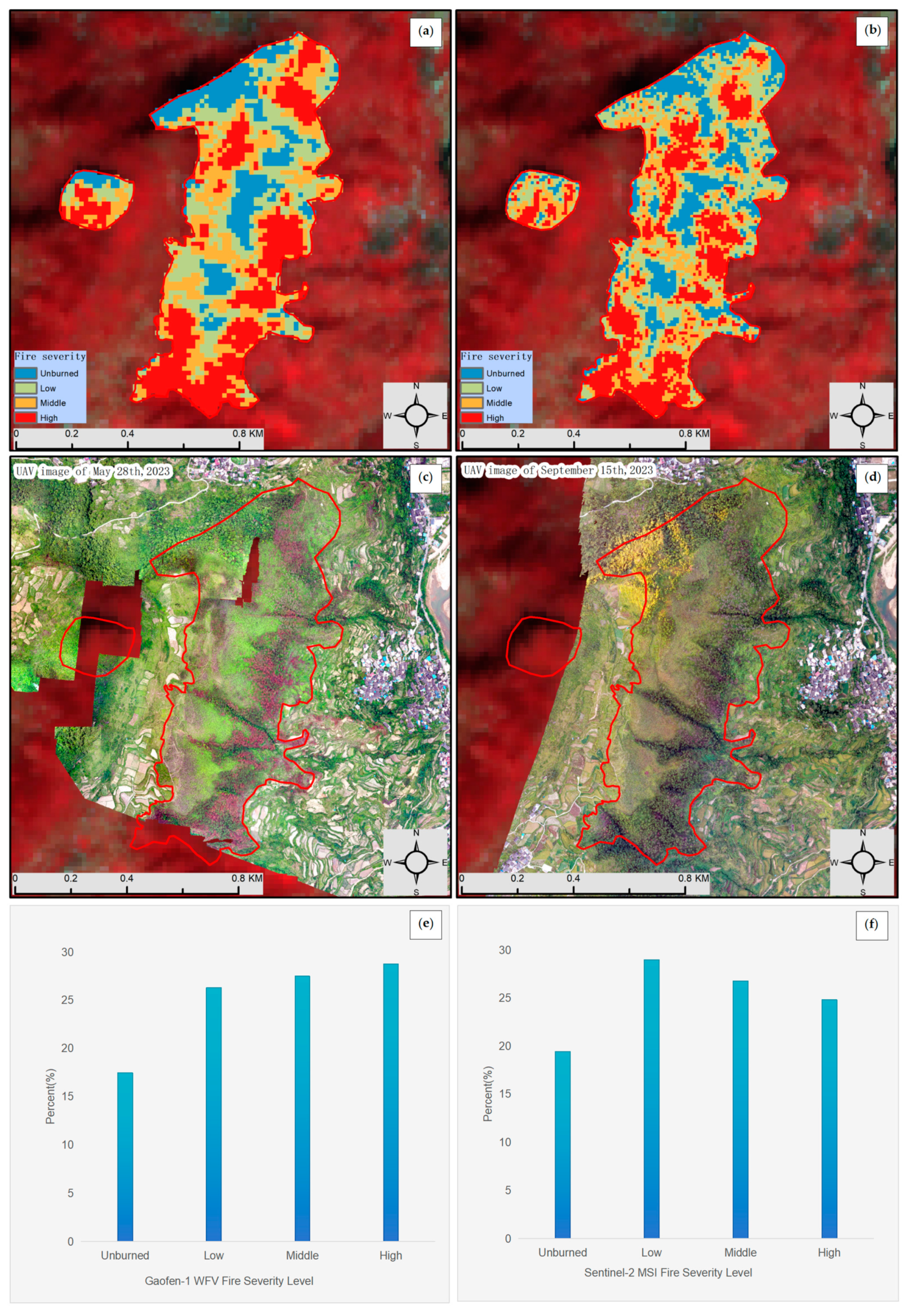Forests 16 00597 g008