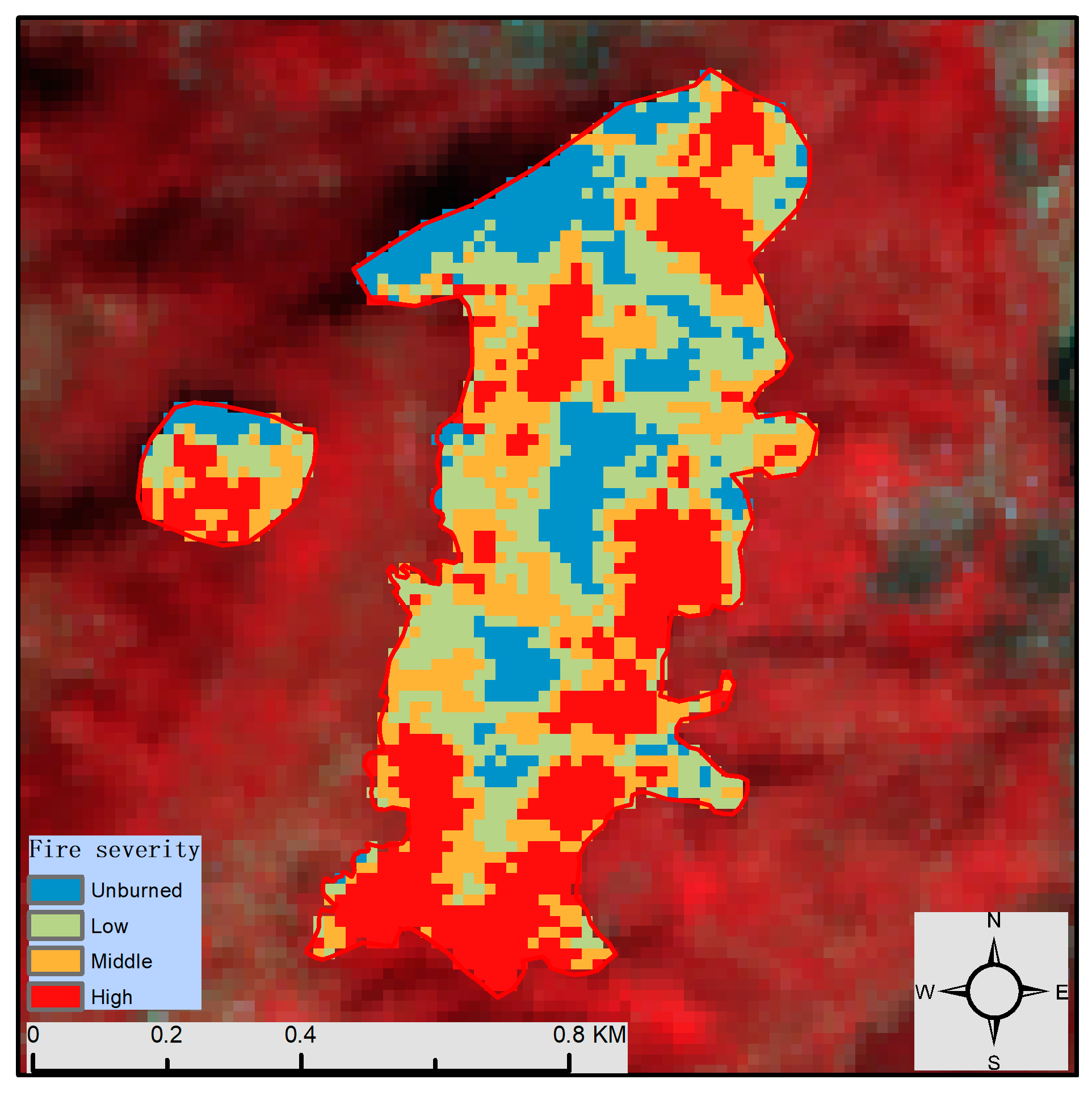 Forests 16 00597 g009