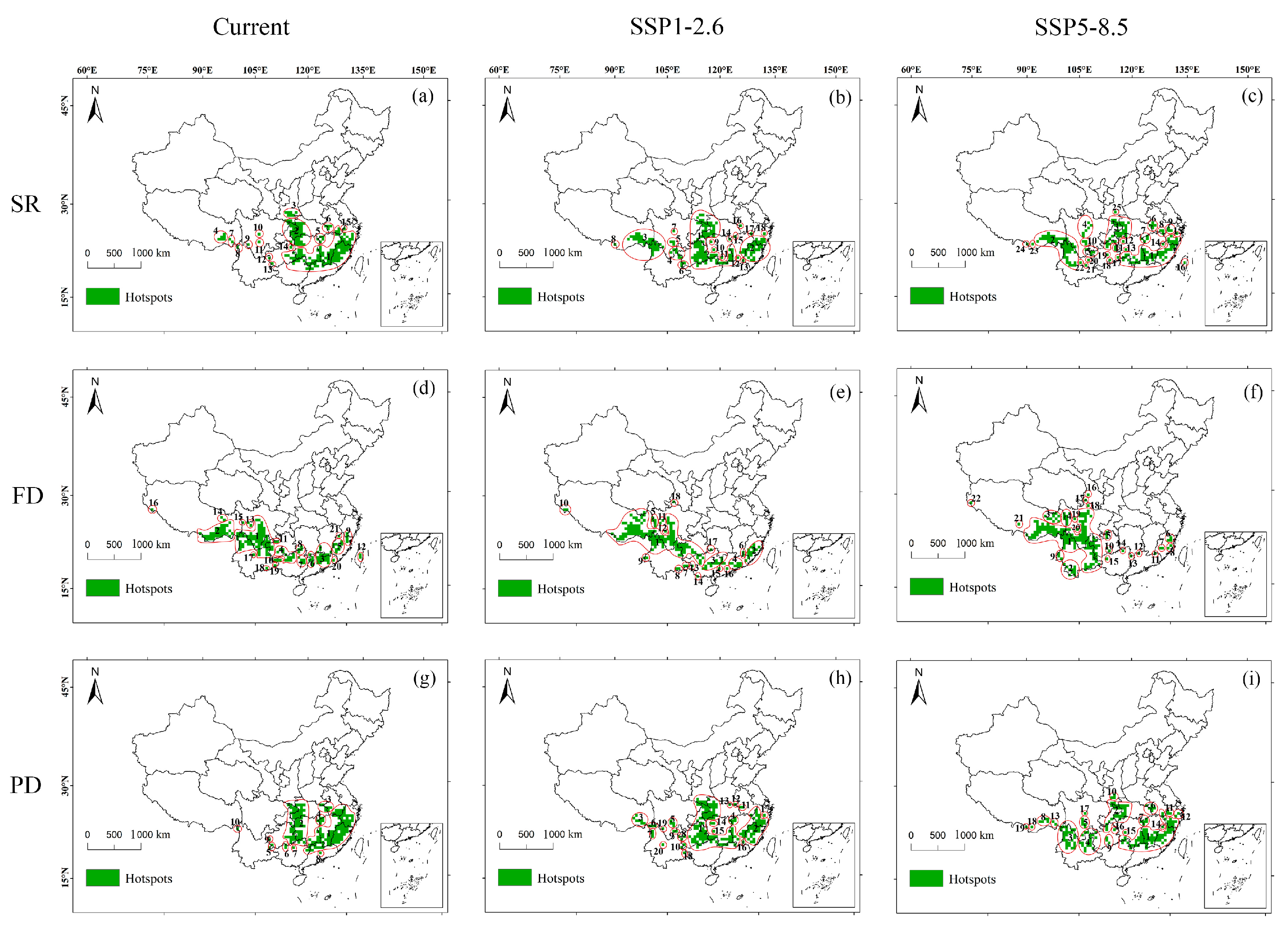 Forests 16 00599 g001