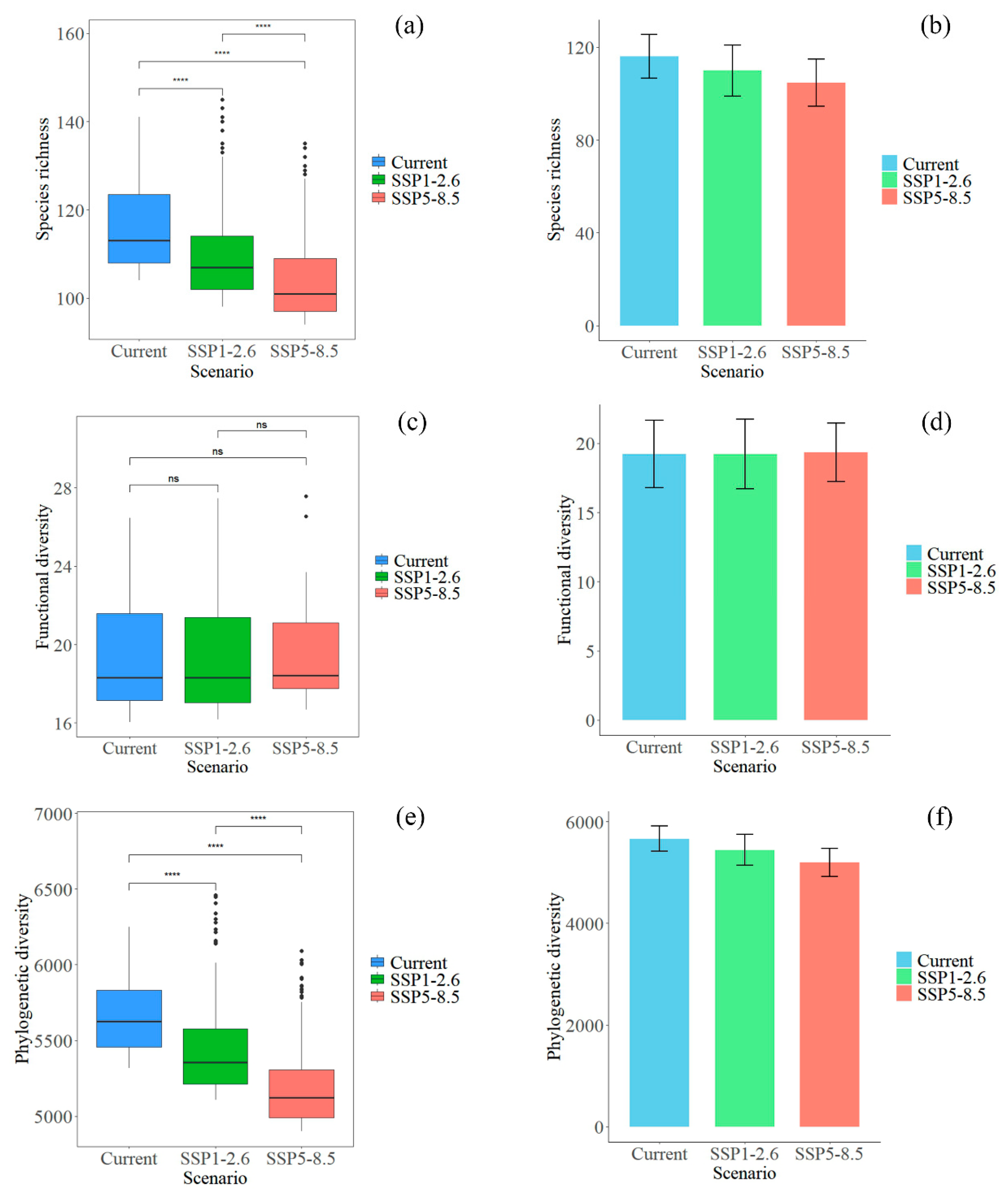 Forests 16 00599 g004