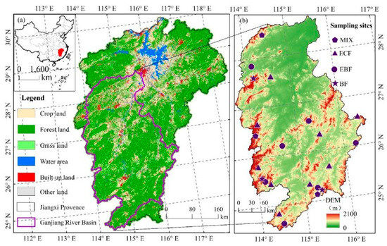 Spatio-Temporal Simulation of the Productivity of Four
