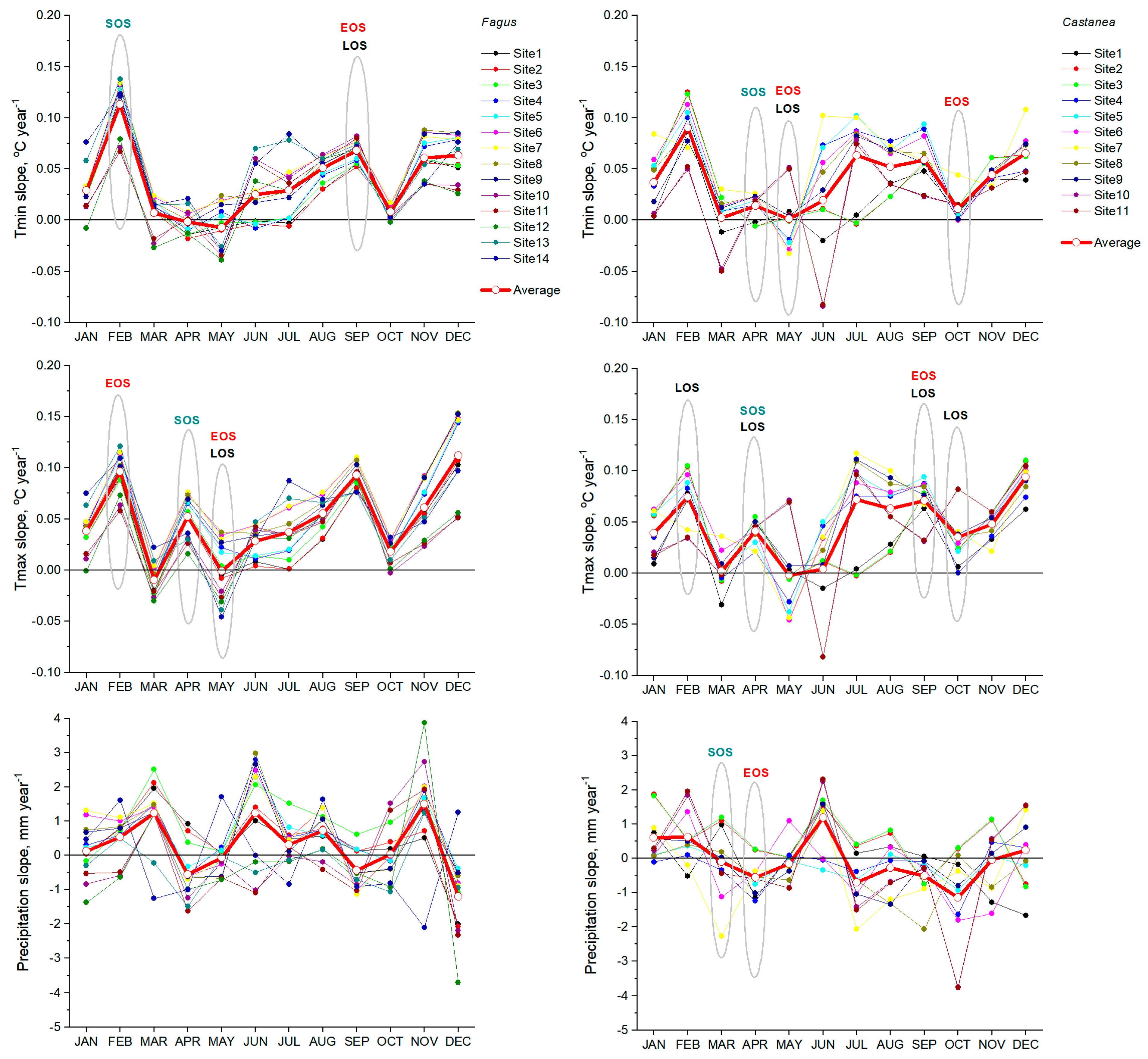 Forests 16 00608 g008