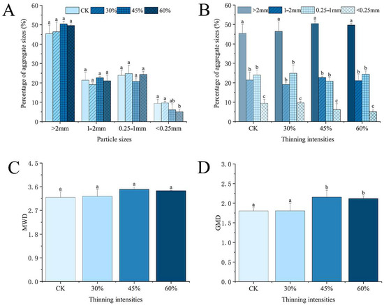 Size Composition, Stability, and Distribution of Metal