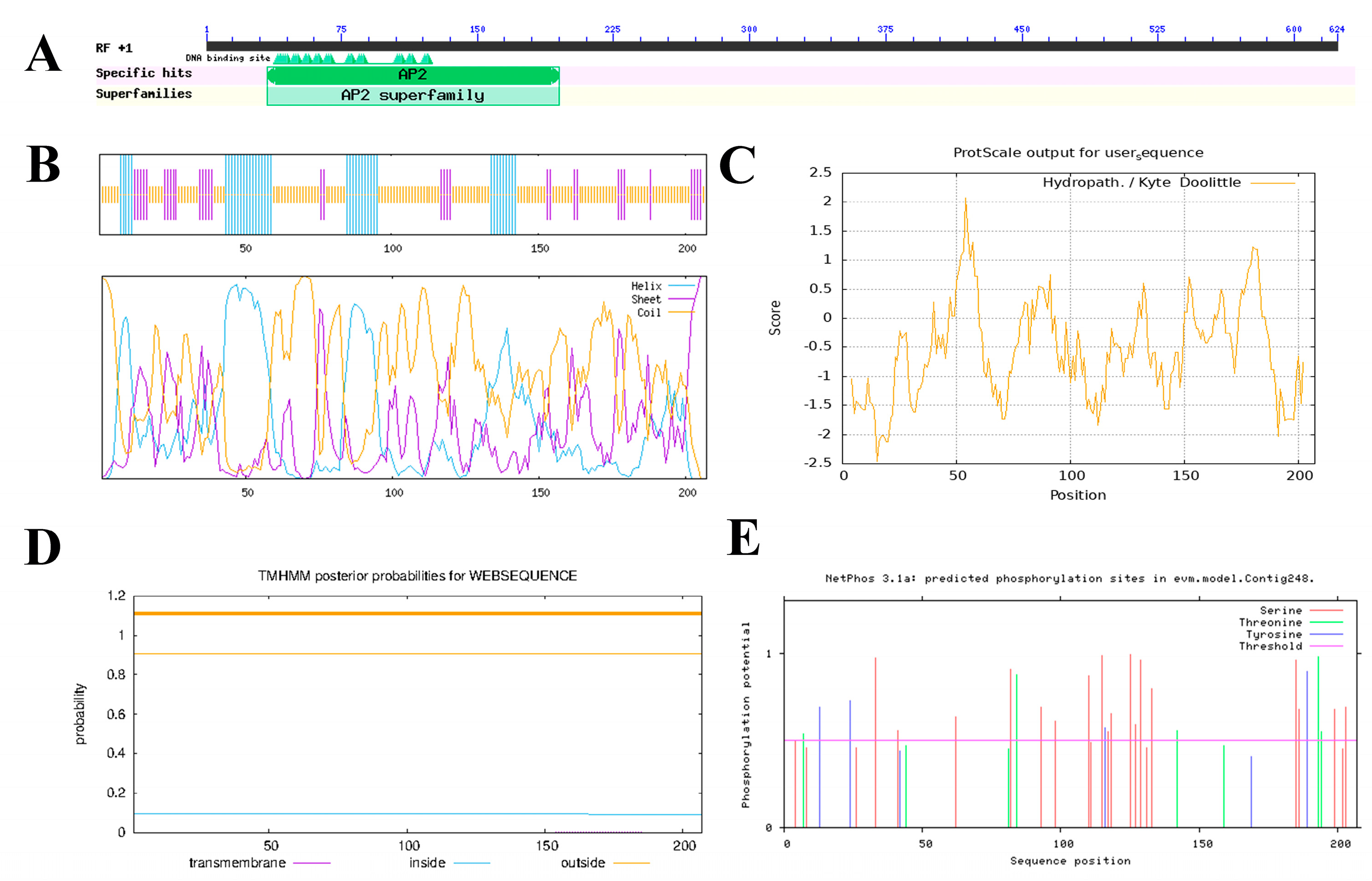 Forests 16 00615 g004 Forests 16 00615 g004