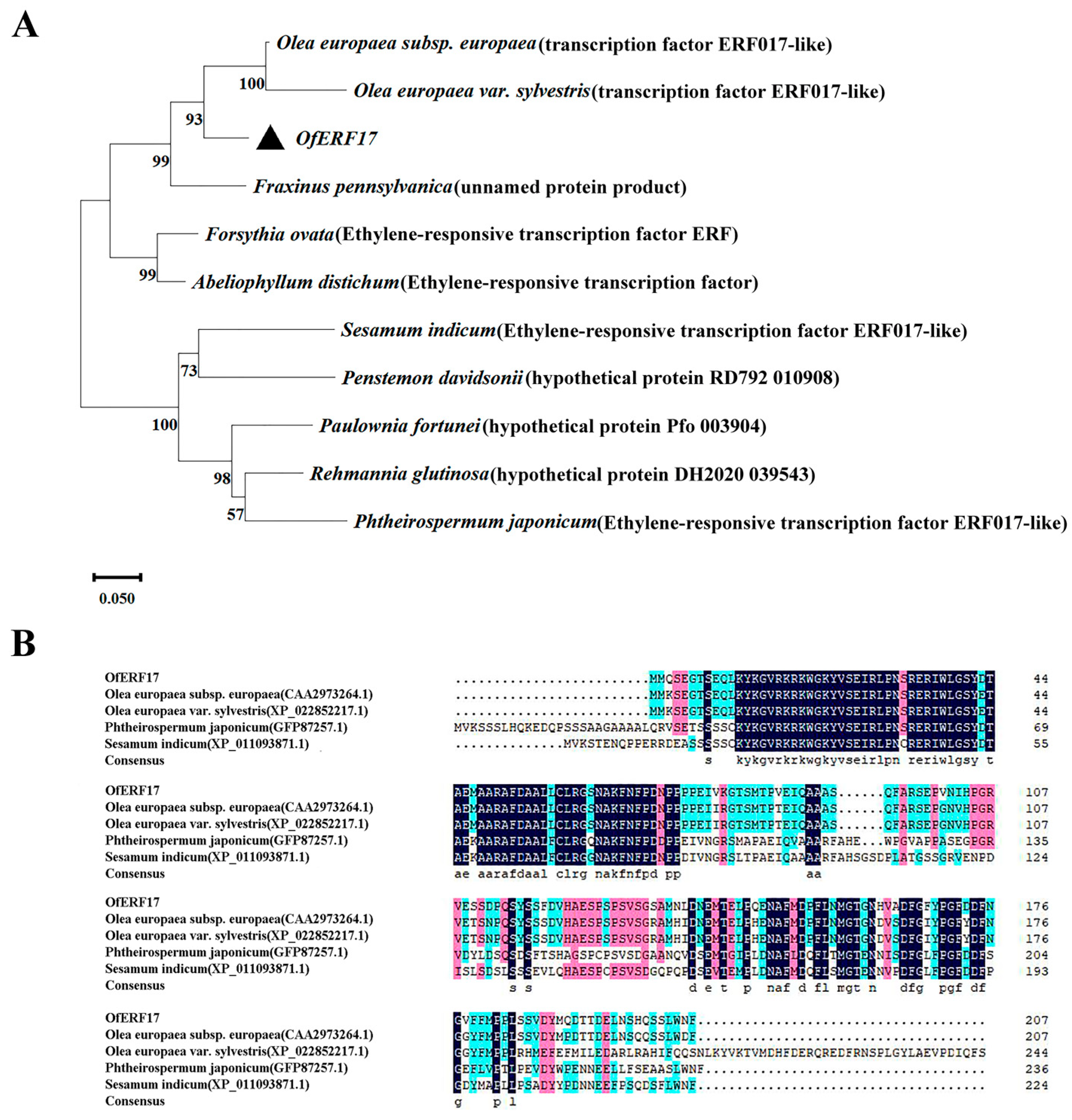 Forests 16 00615 g005 Forests 16 00615 g005