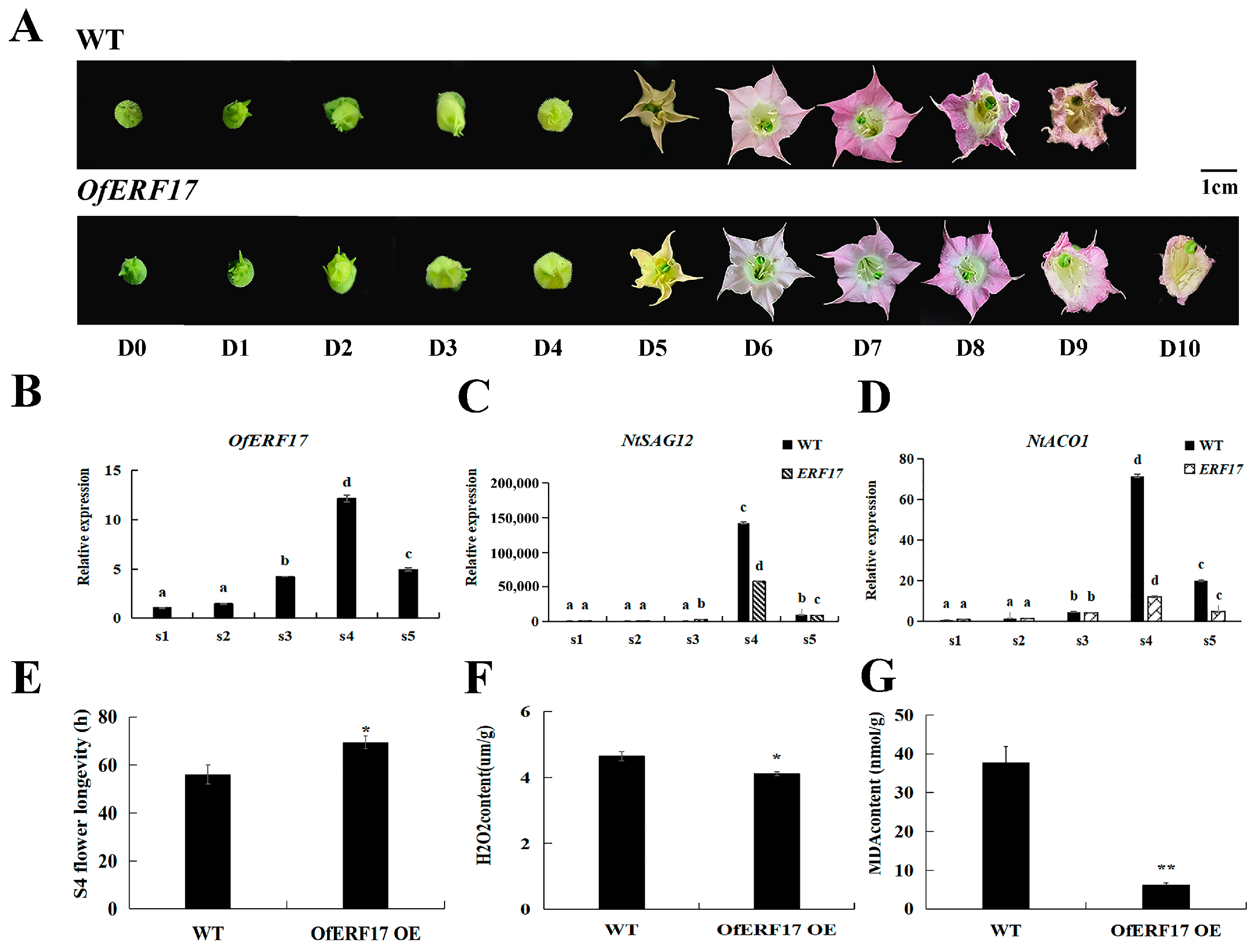 Forests 16 00615 g009 Forests 16 00615 g009