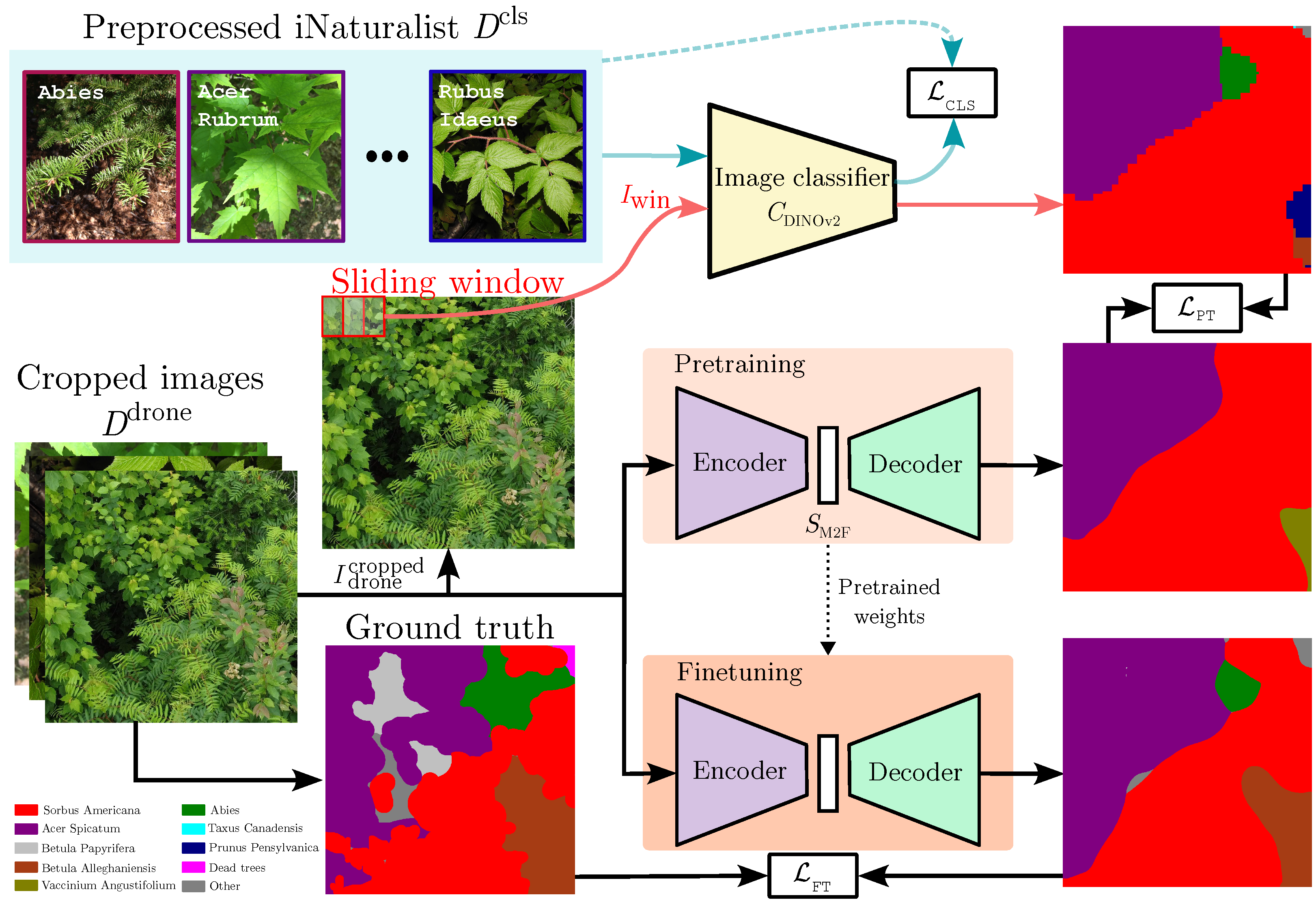 Forests 16 00616 g002