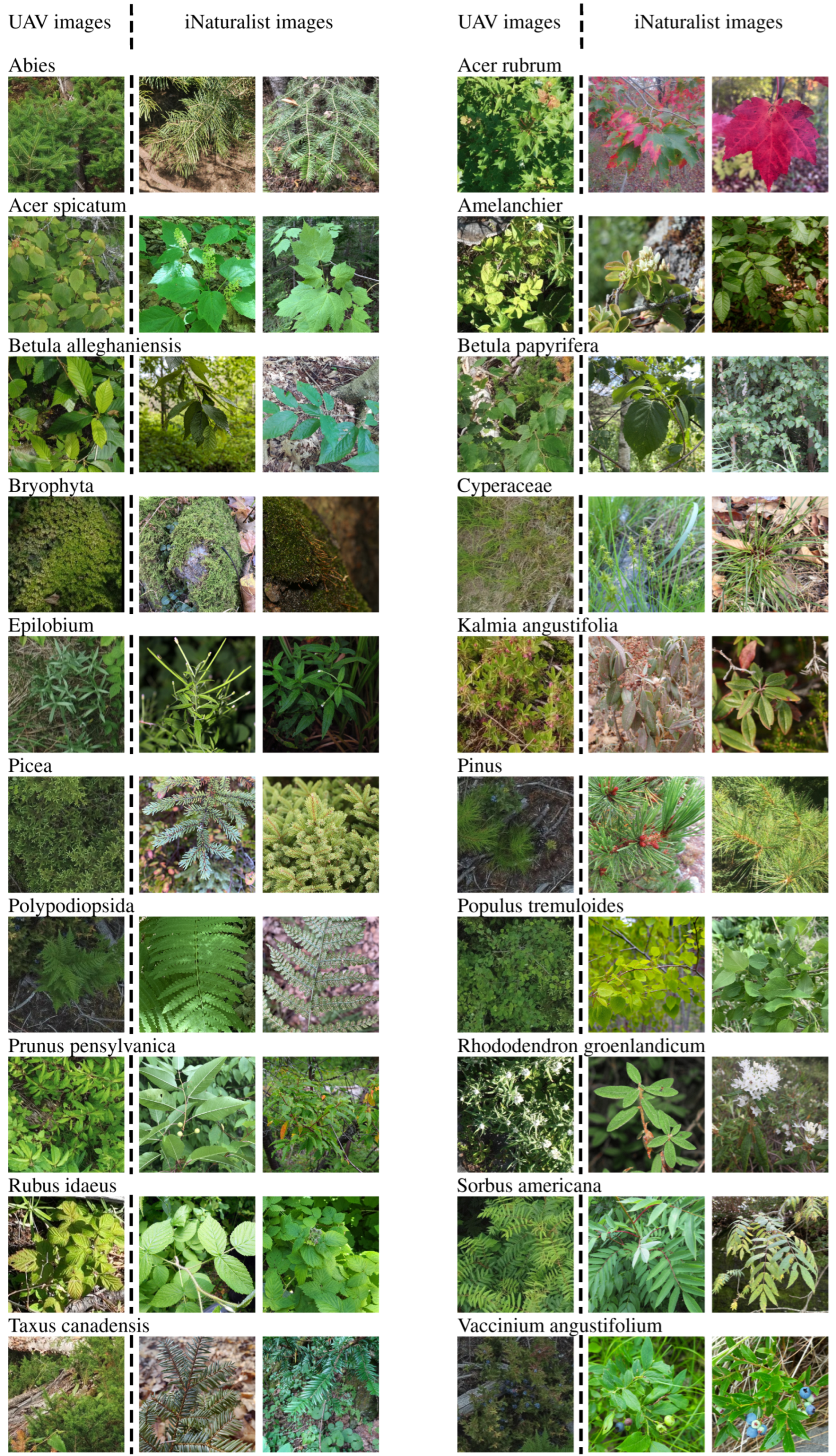 Forests 16 00616 g005