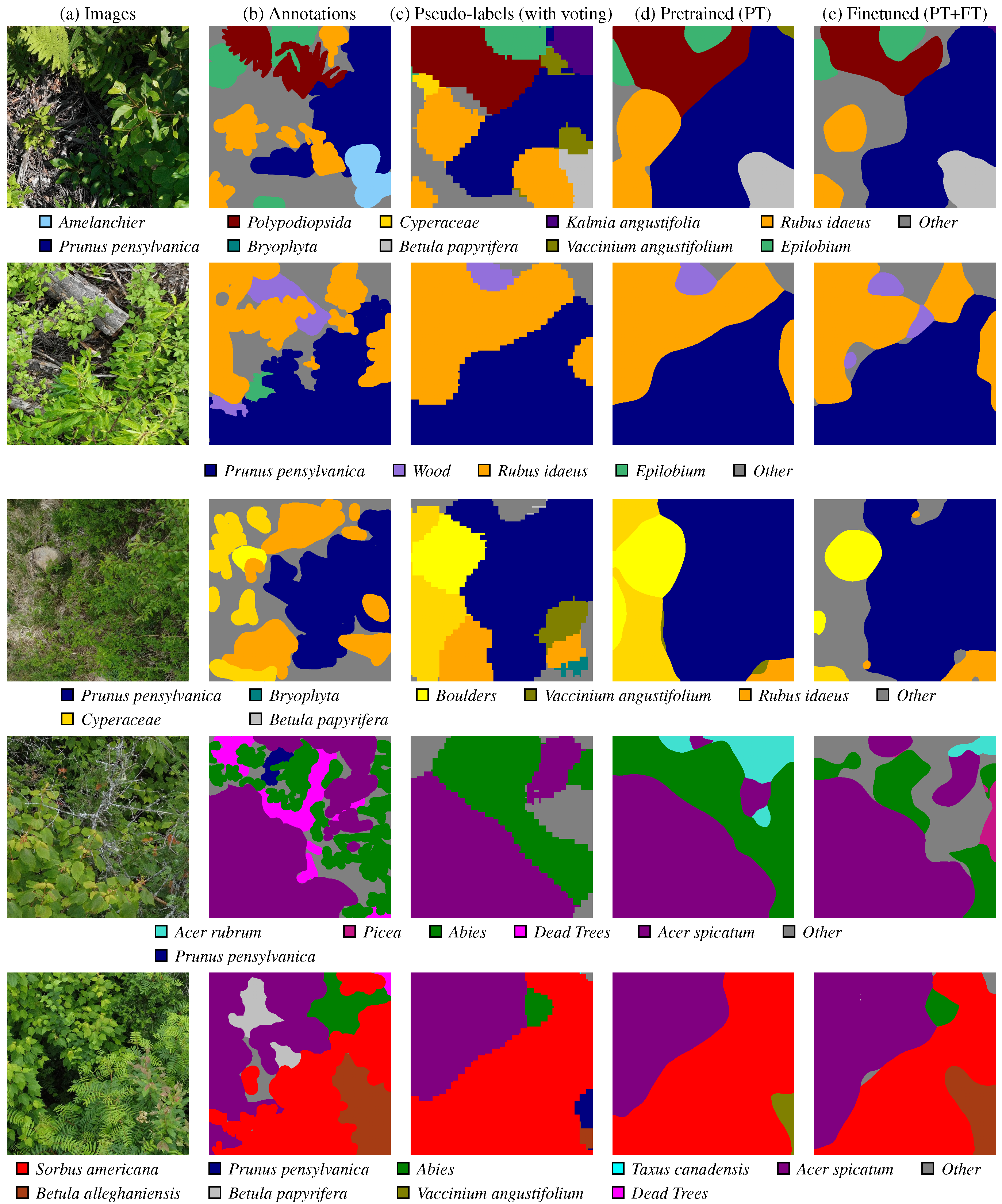 Forests 16 00616 g012