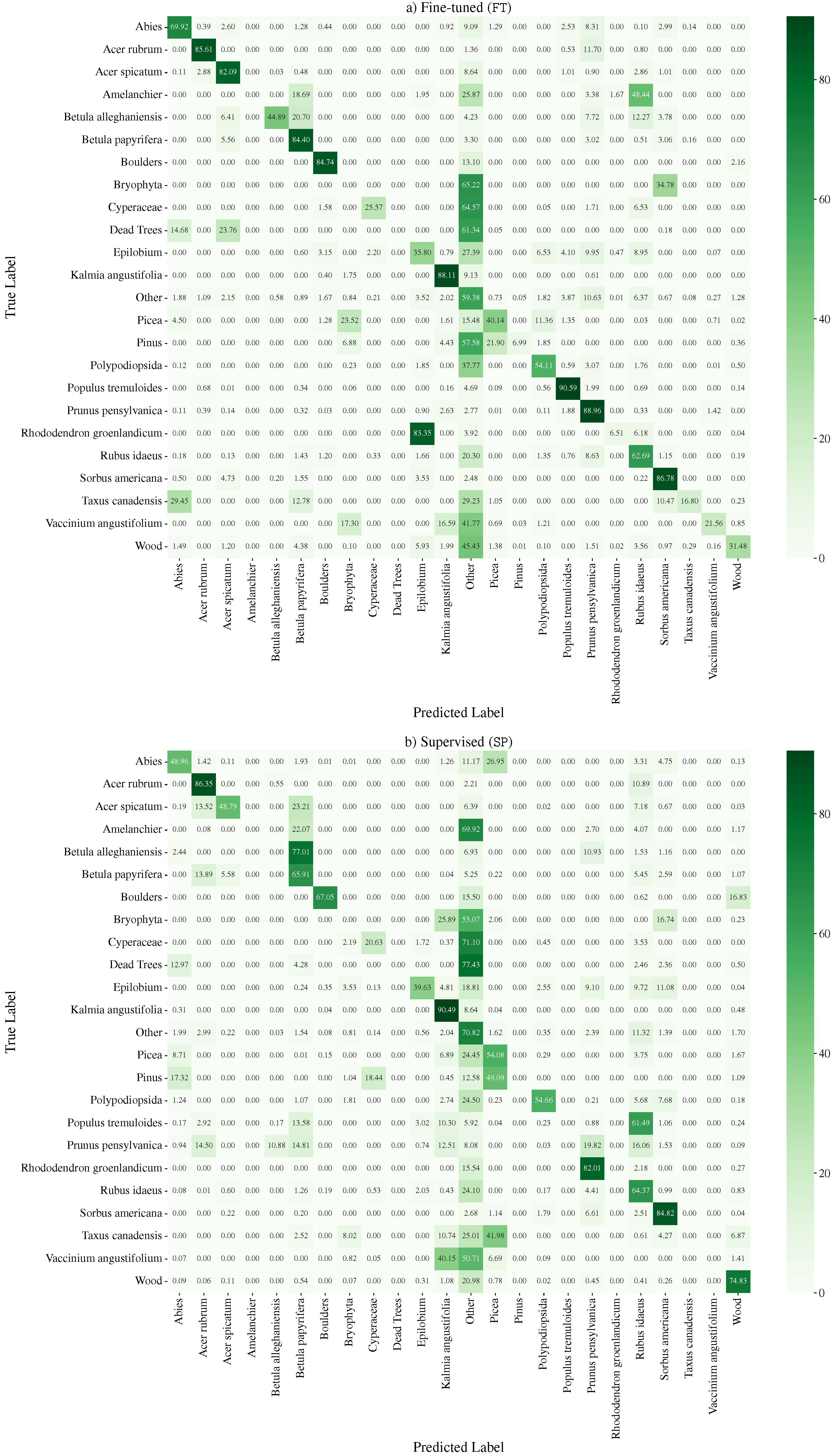 Forests 16 00616 g019