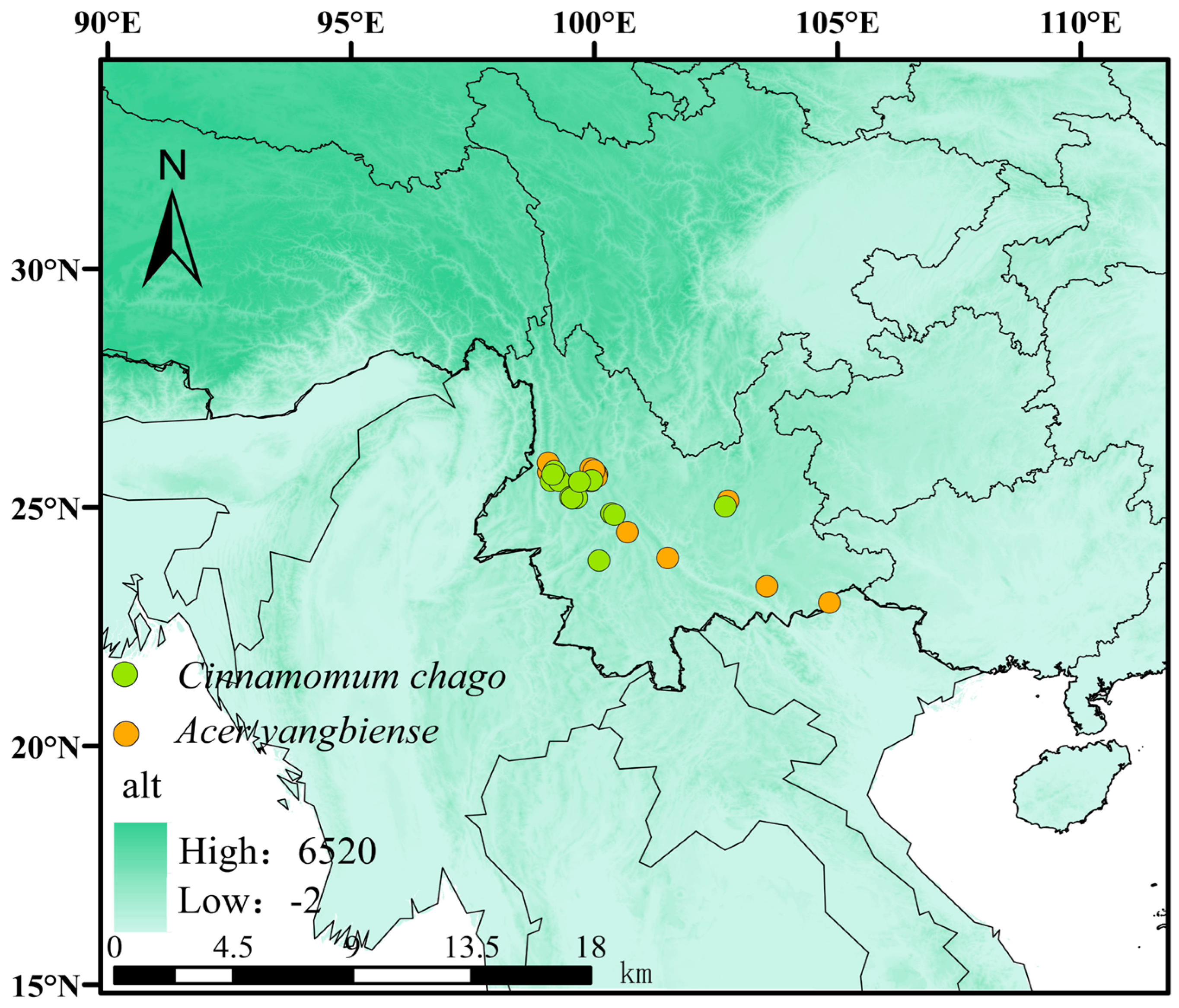 Forests 16 00621 g001