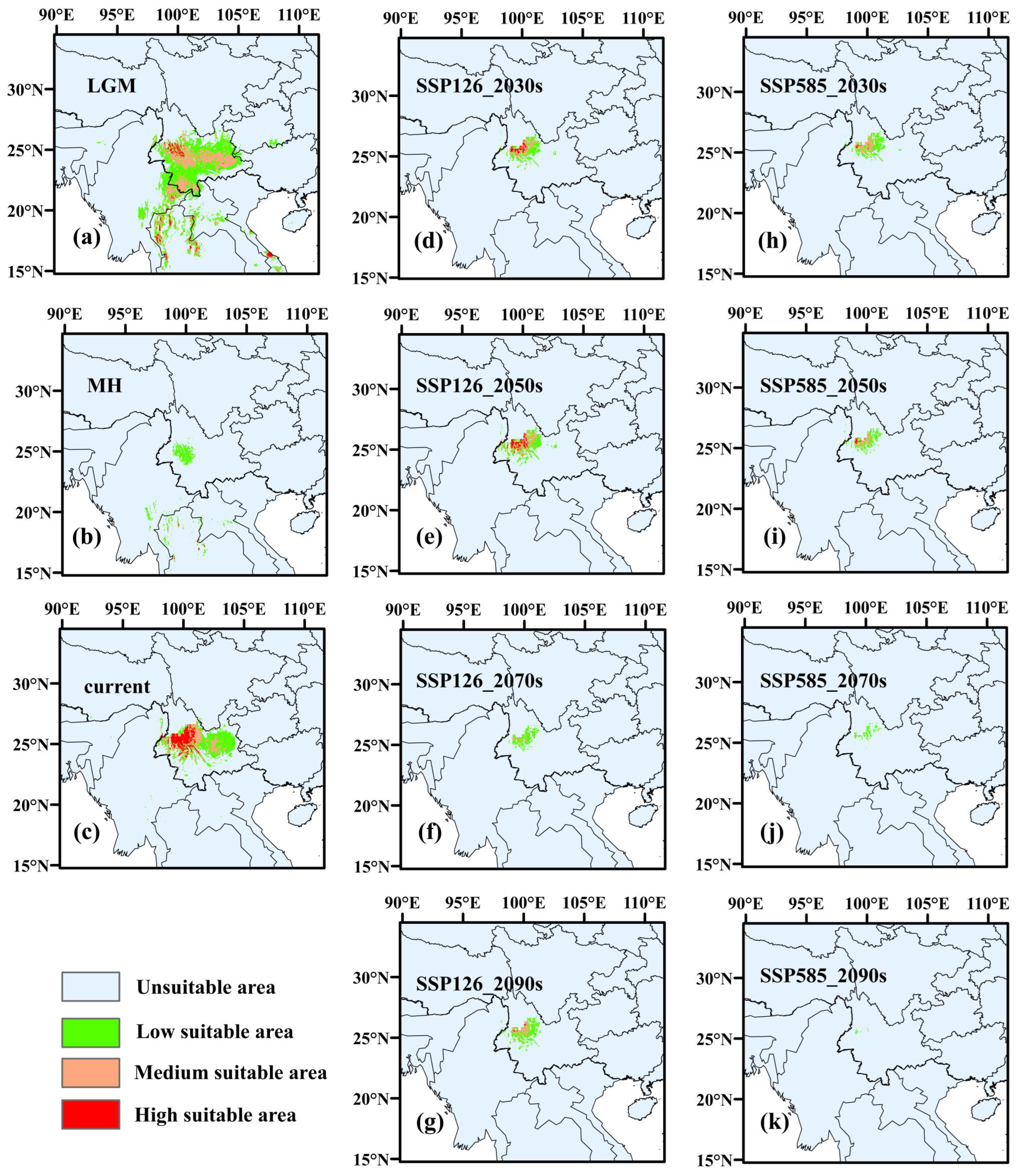 Forests 16 00621 g004