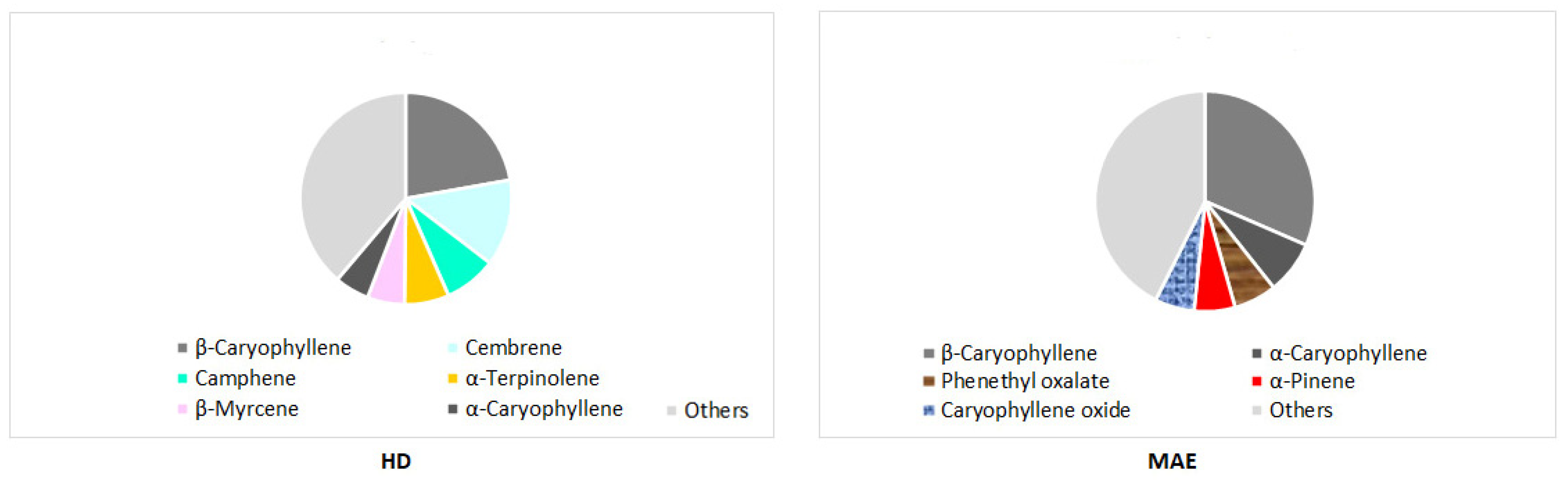 Forests 16 00623 g002