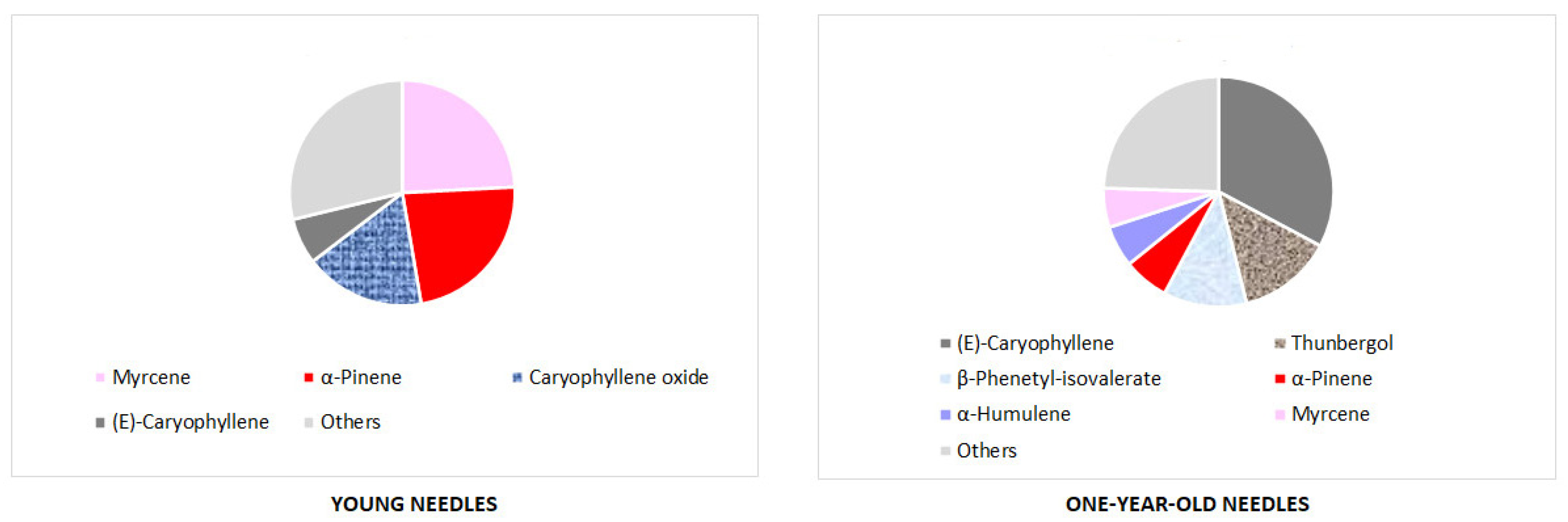Forests 16 00623 g004