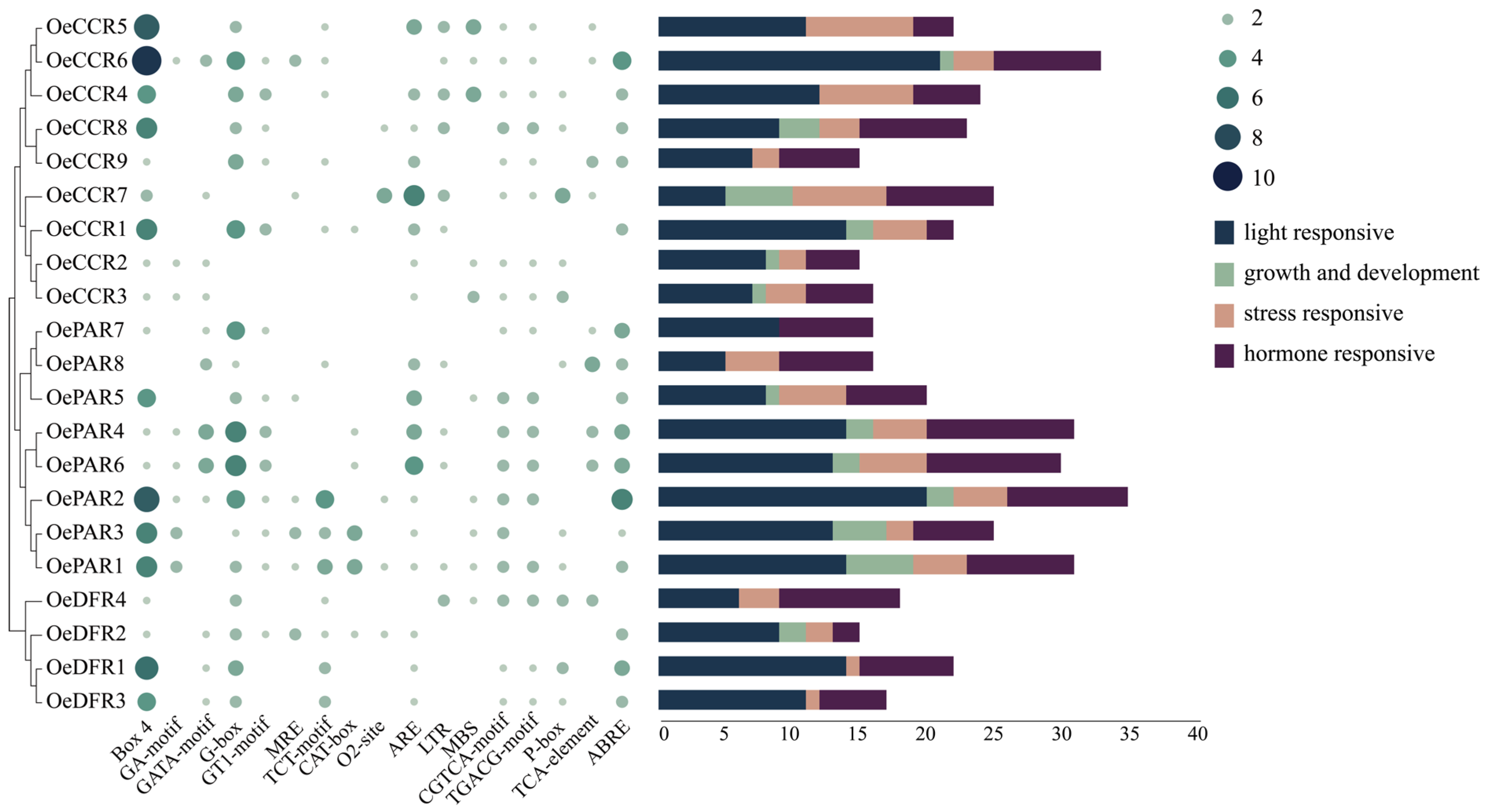 Forests 16 00630 g004