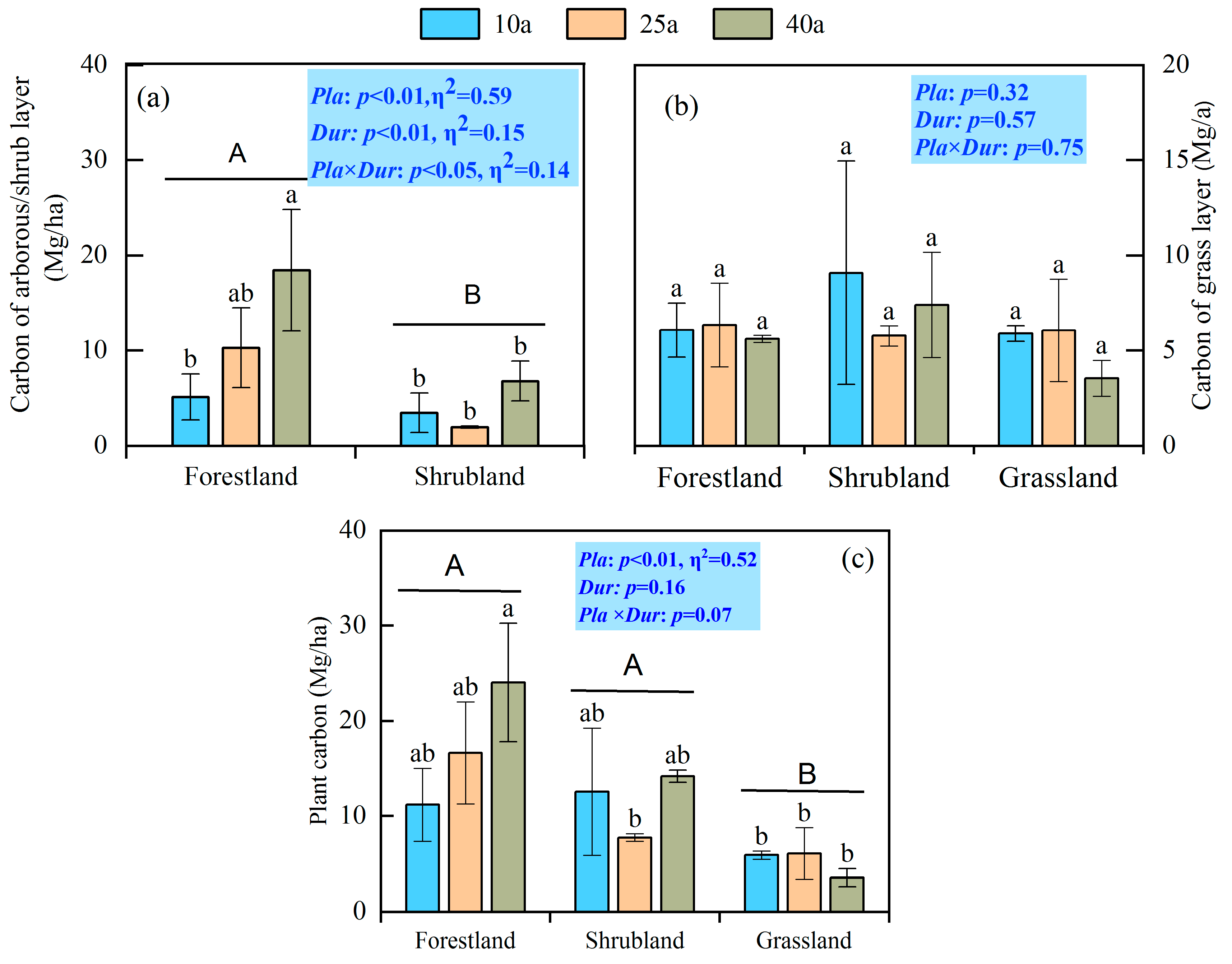 Forests 16 00631 g002