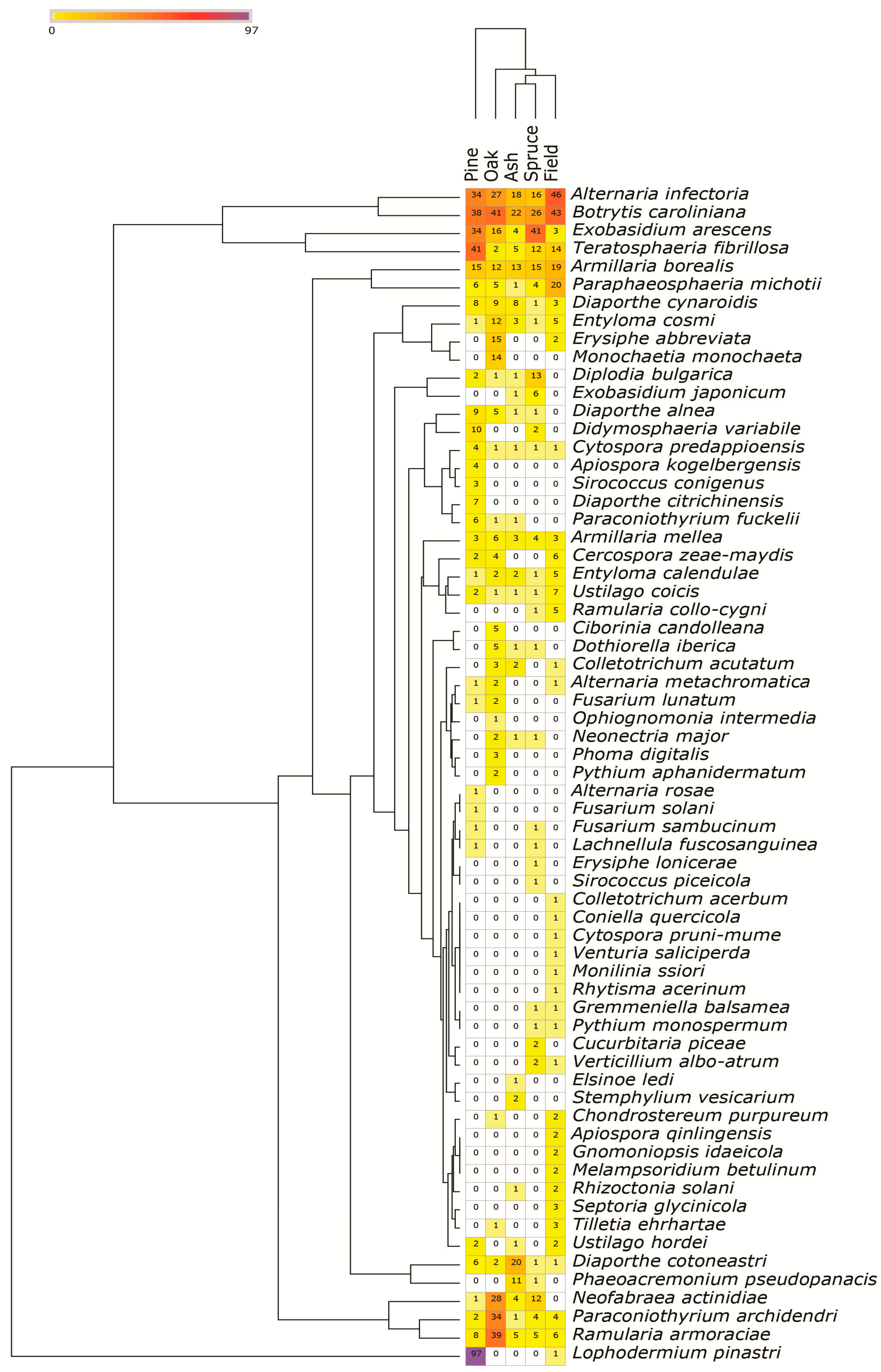 Forests 16 00632 g004