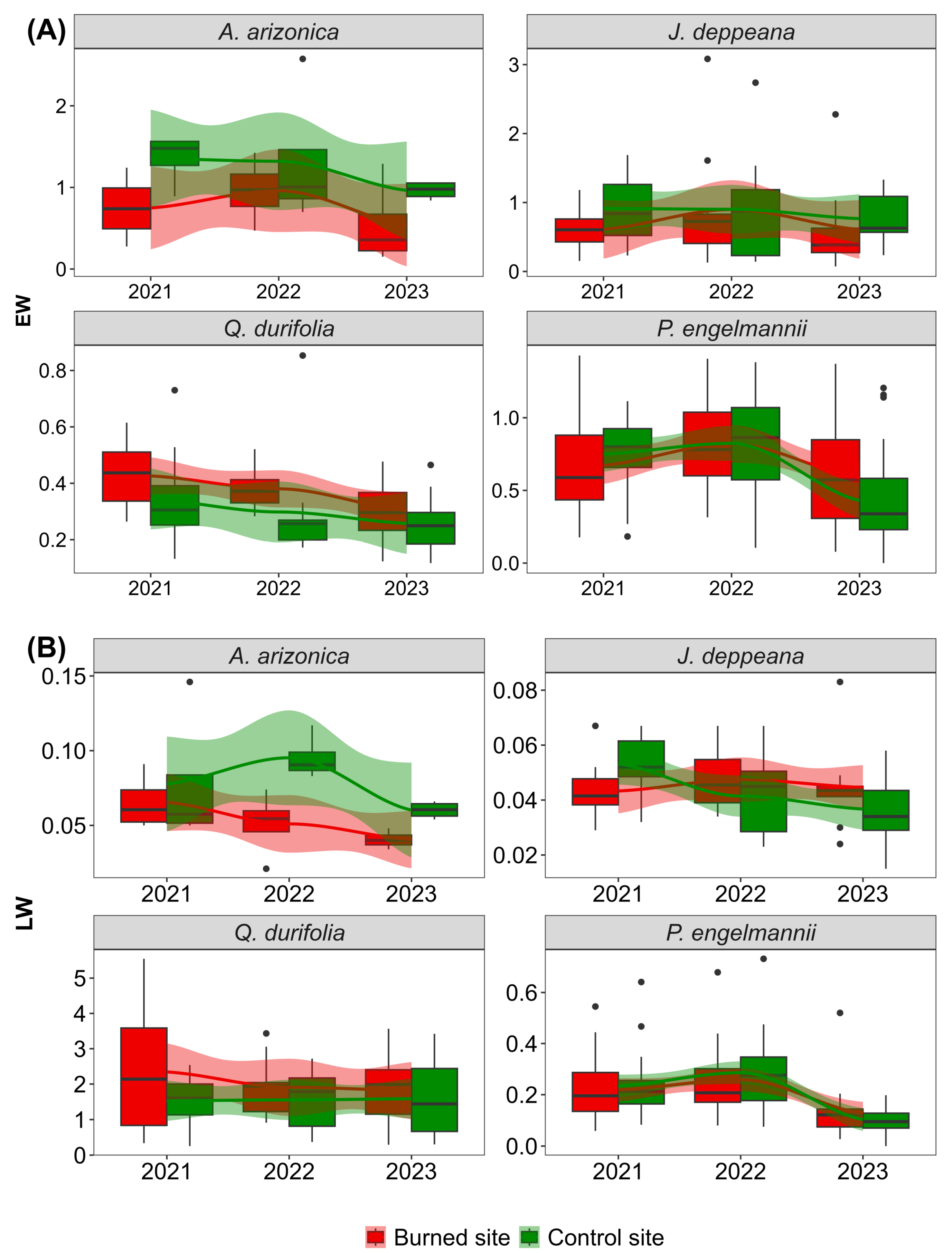 Forests 16 00633 g002