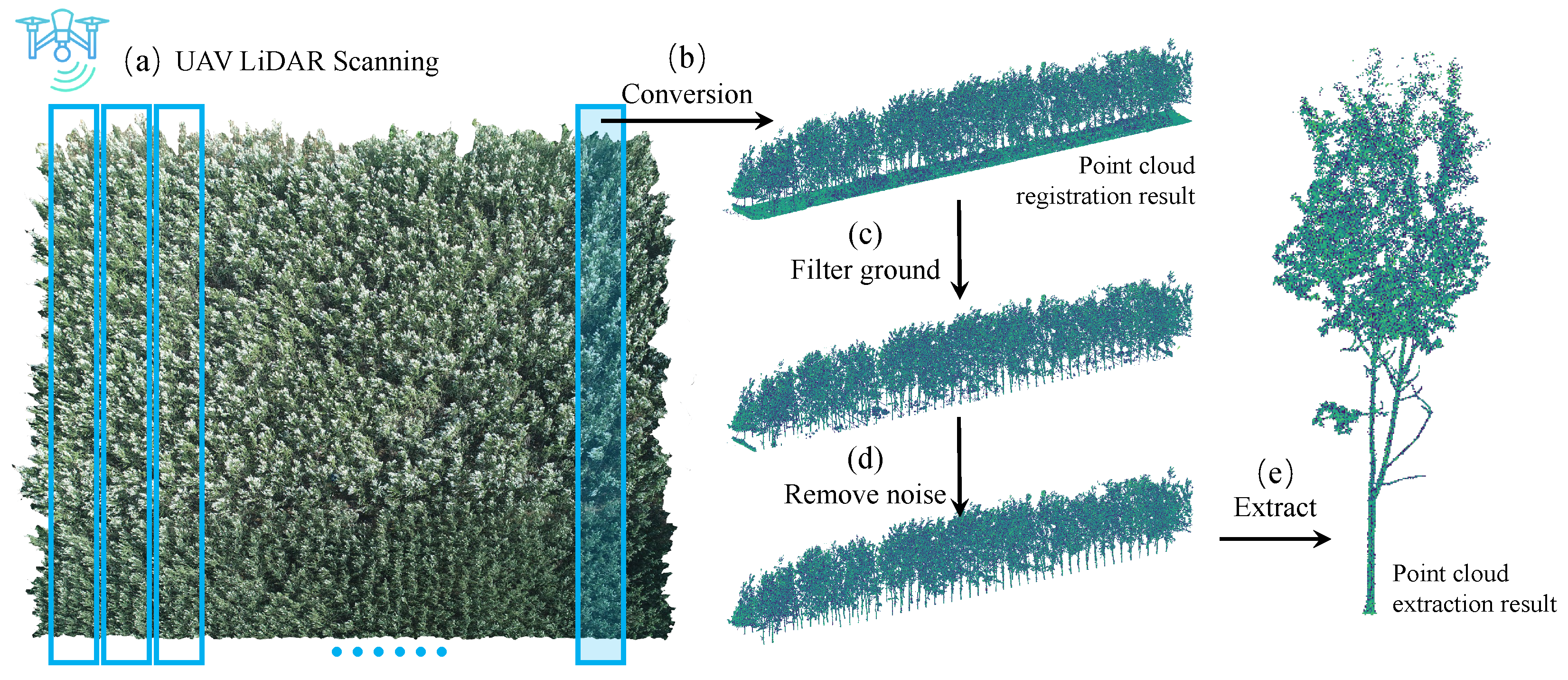 Forests 16 00635 g003