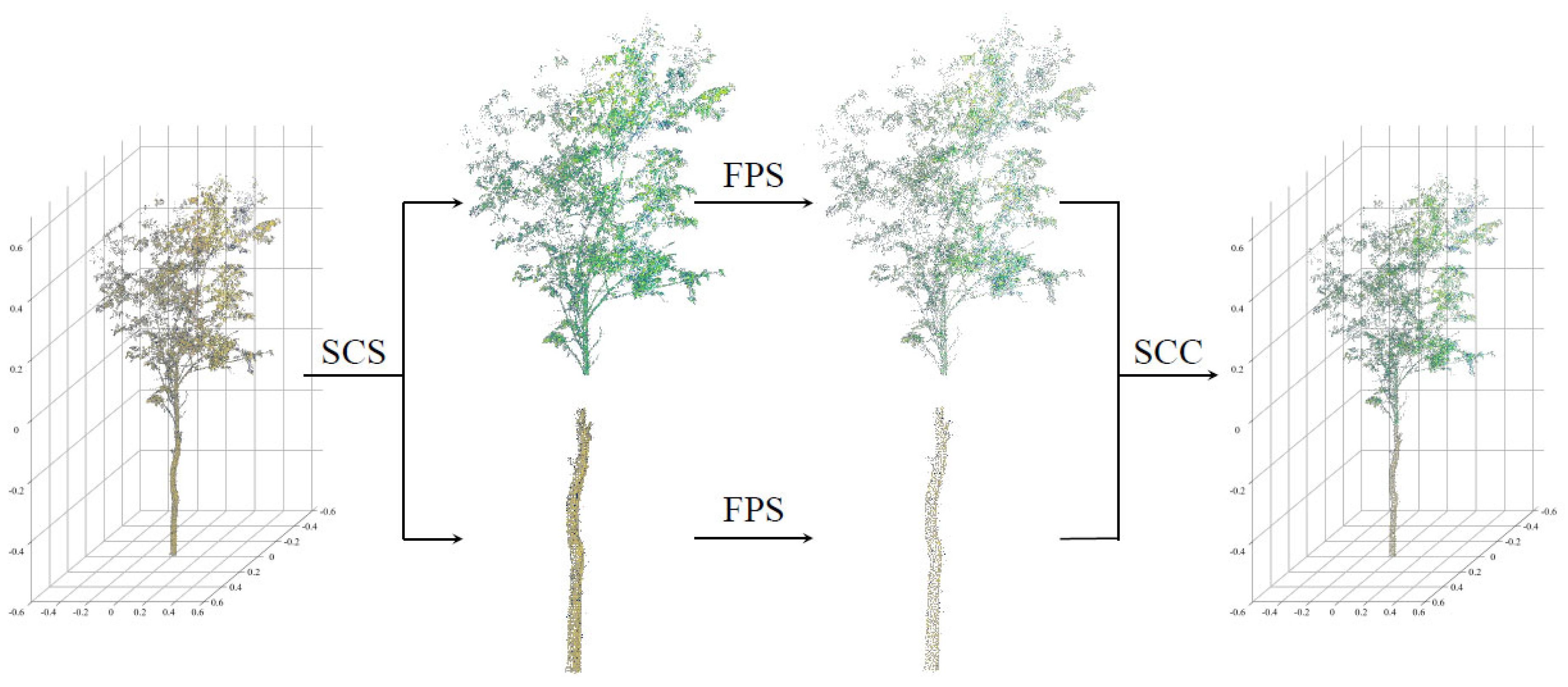 Forests 16 00635 g005