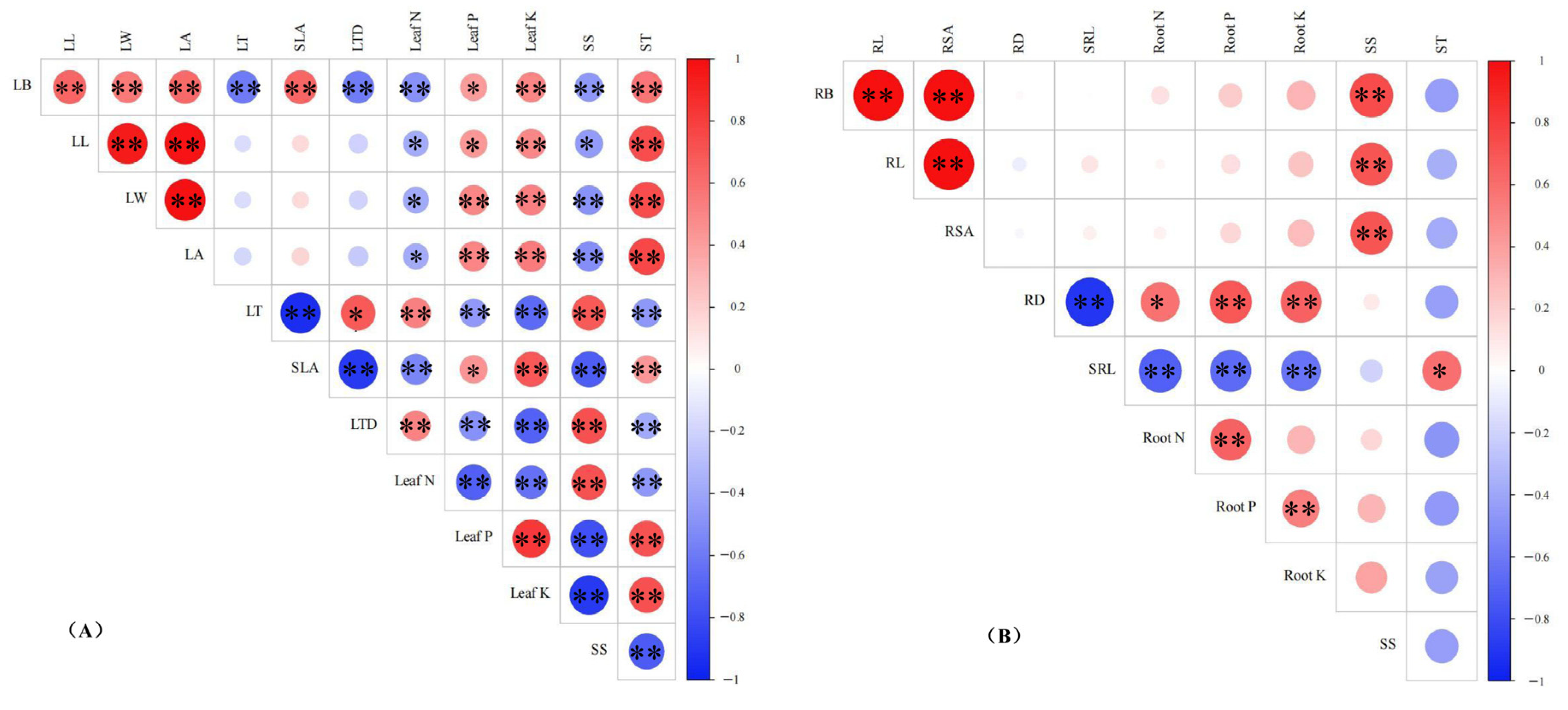 Forests 16 00636 g006