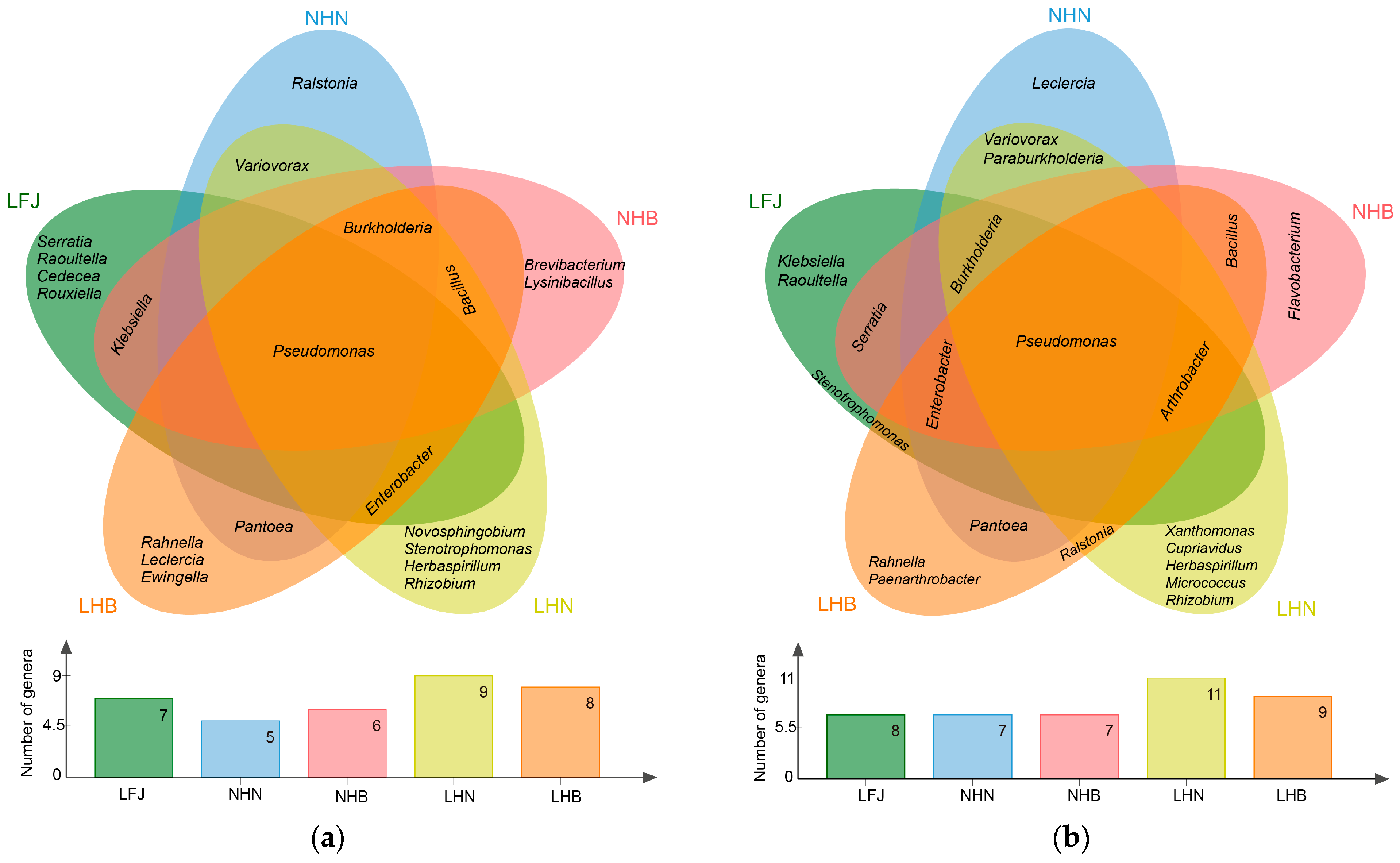 Forests 16 00637 g002