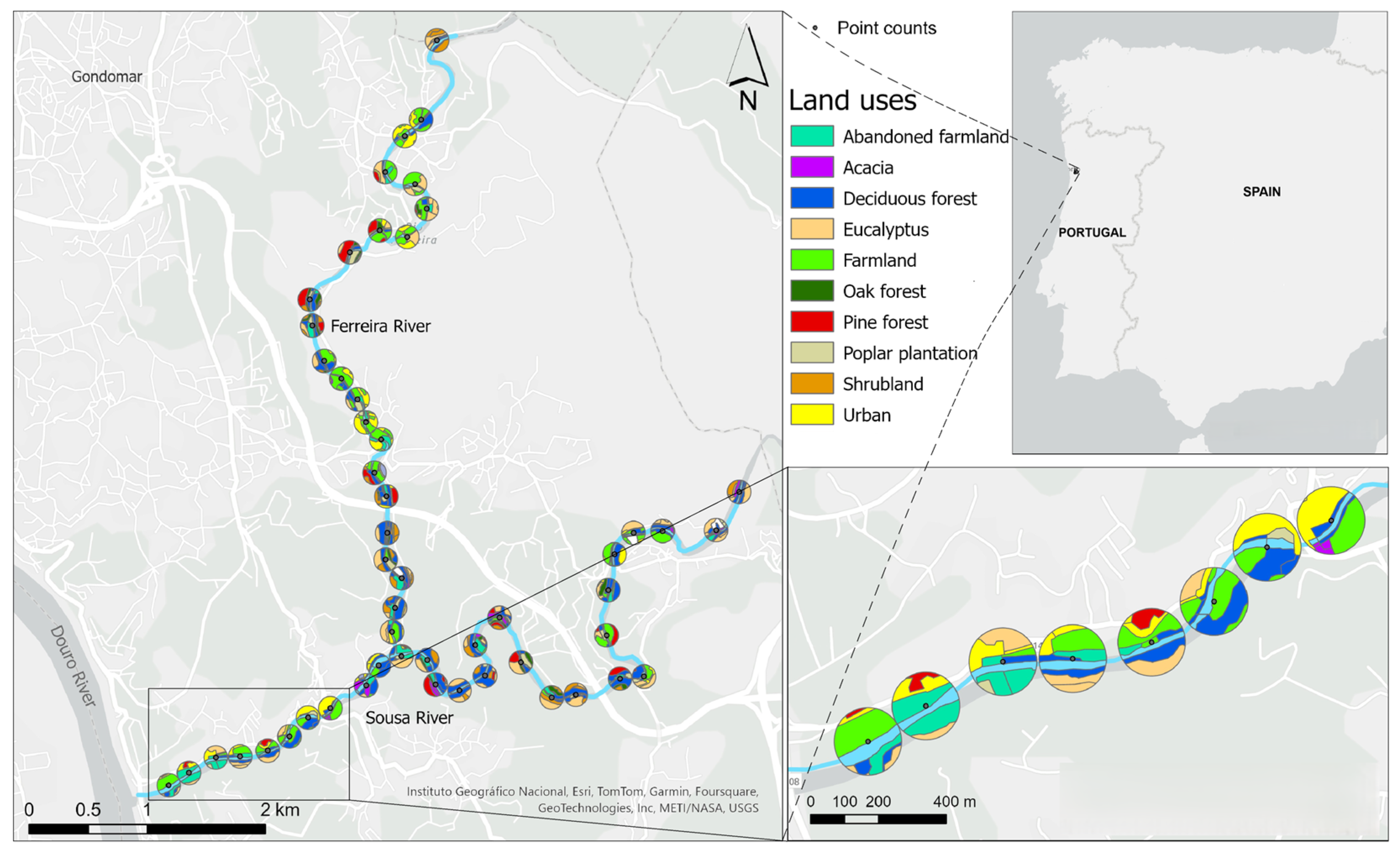 Forests 16 00641 g001