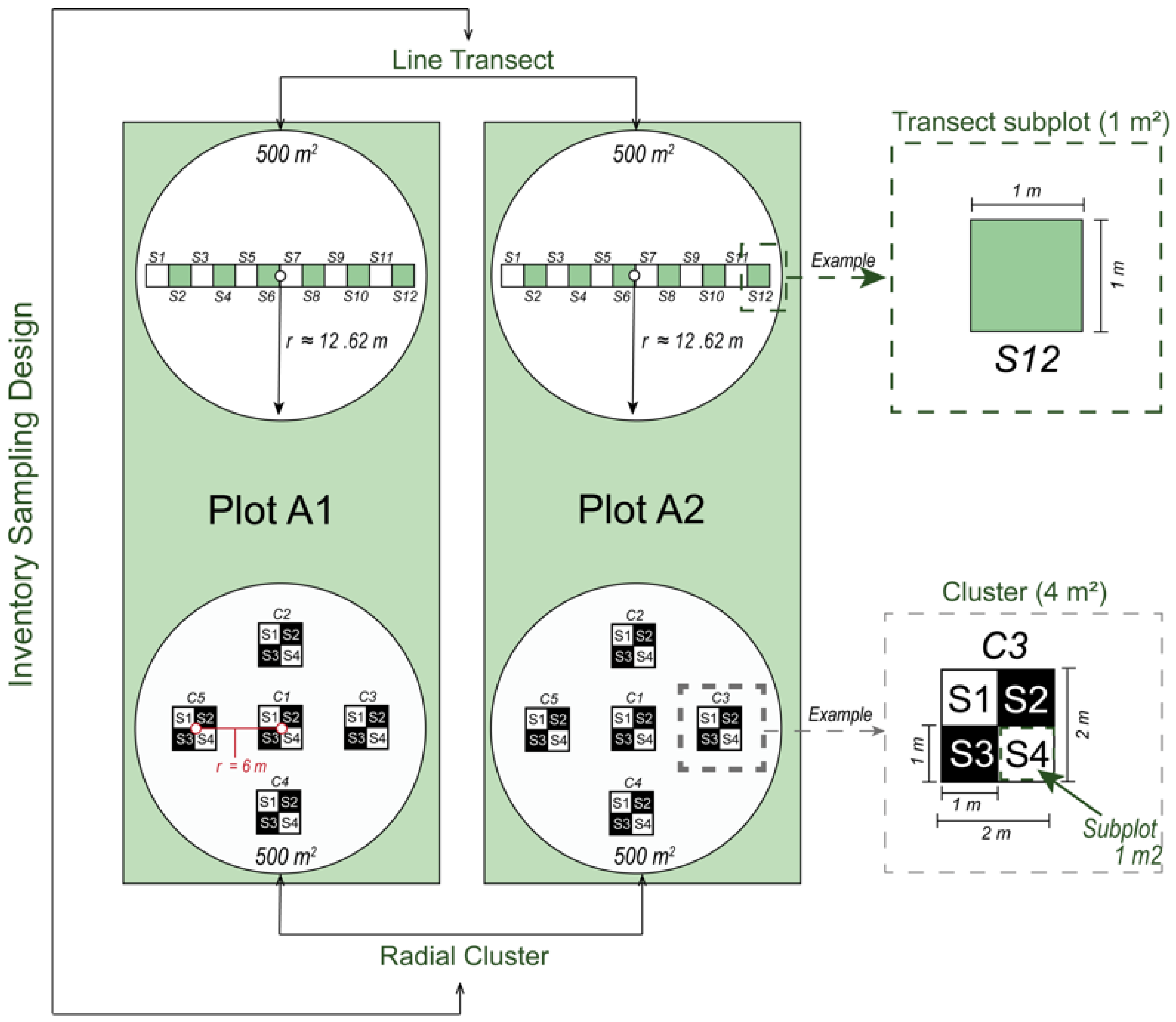 Forests 16 00645 g001