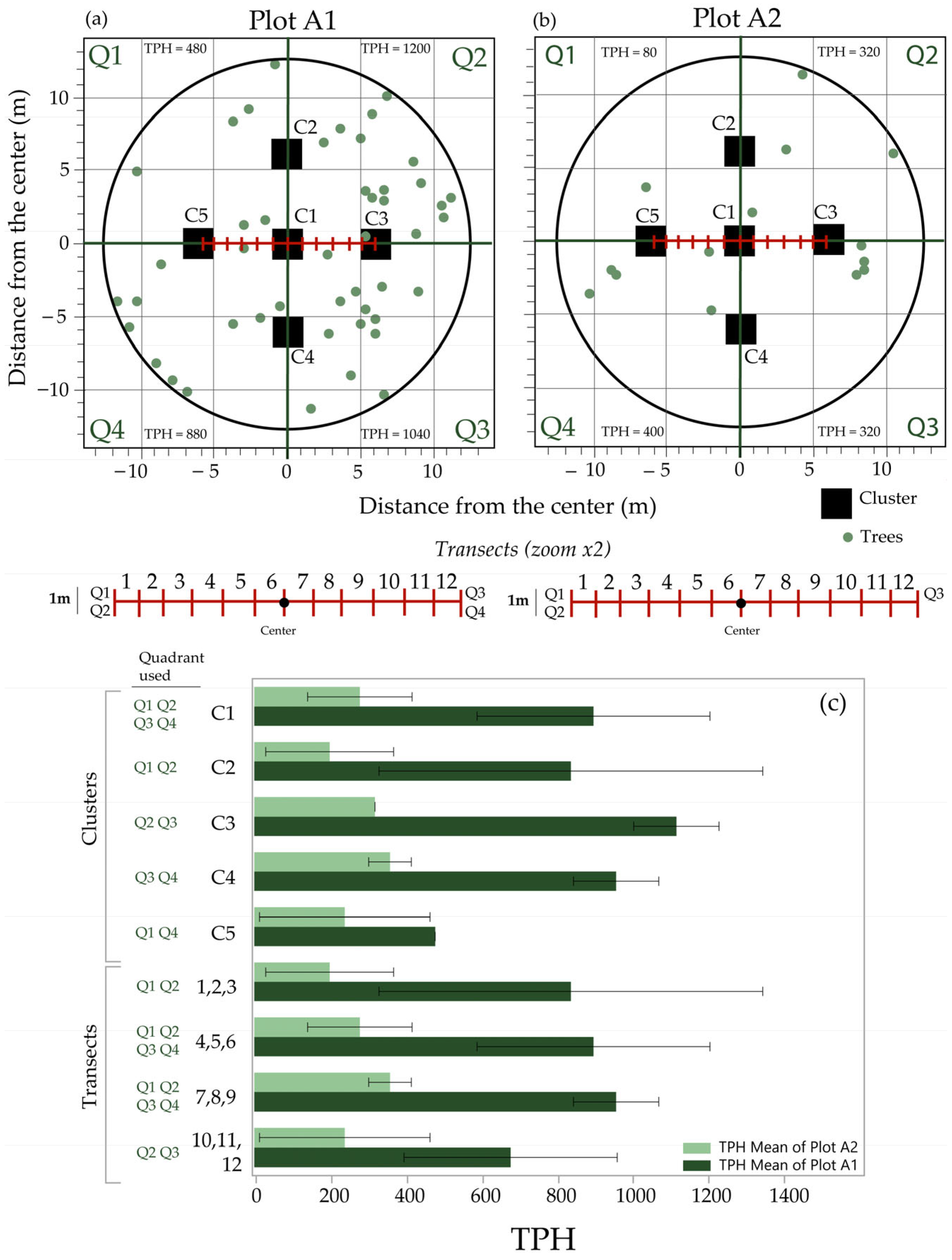 Forests 16 00645 g002