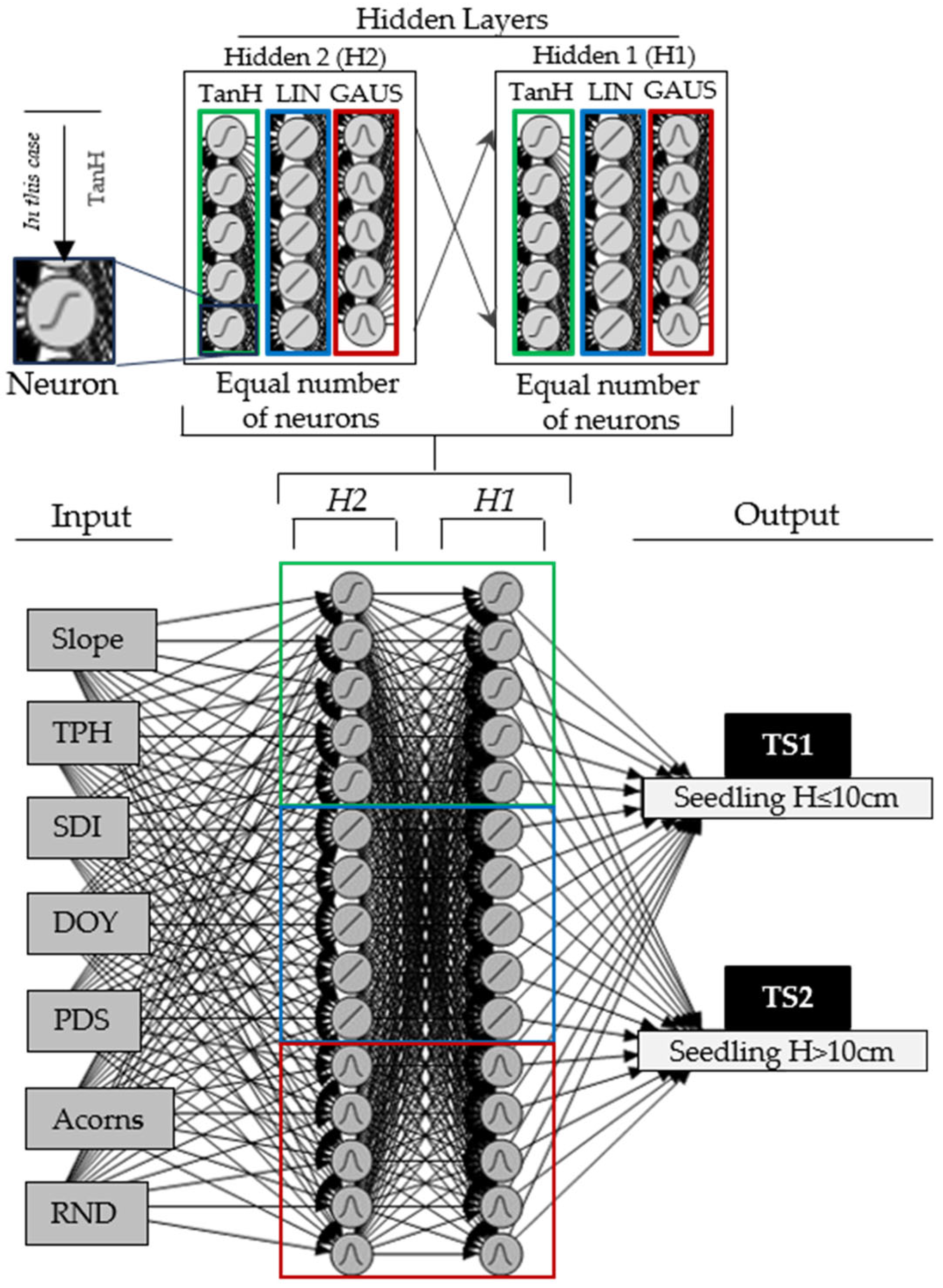 Forests 16 00645 g003