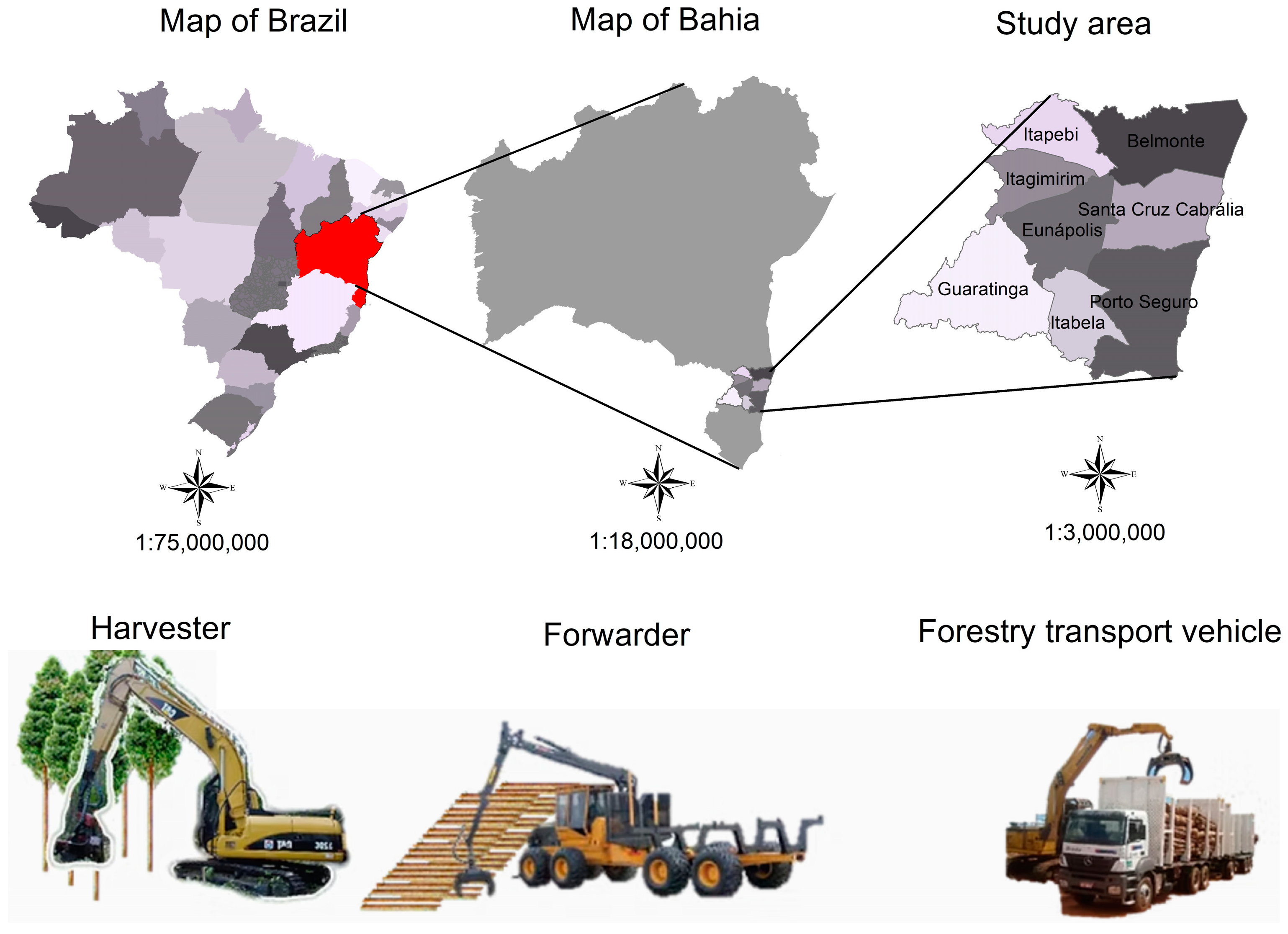 Forests 16 00646 g001 Forests 16 00646 g001