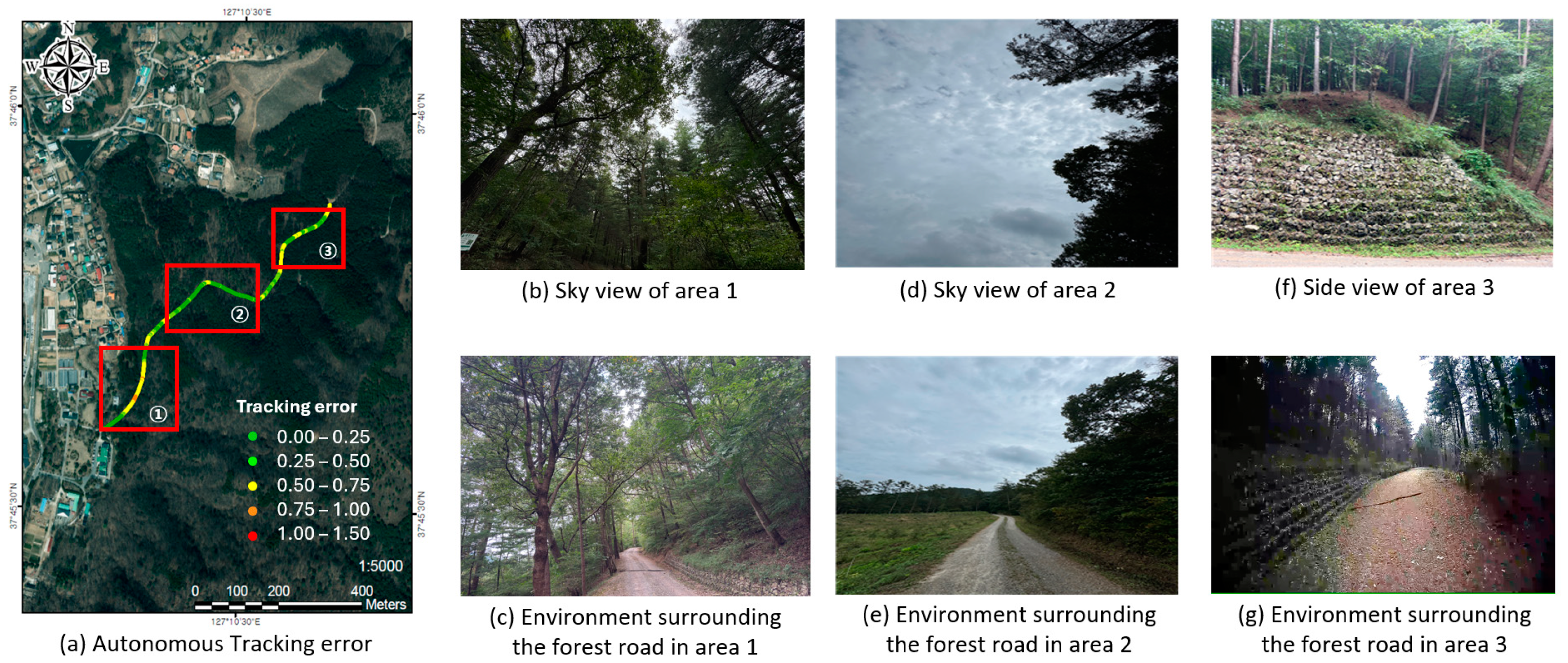 Forests 16 00647 g017