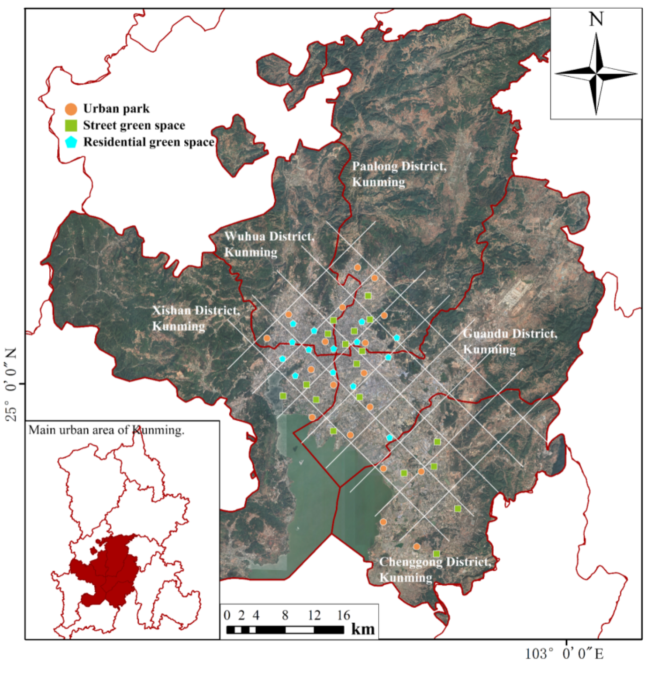 Forests 16 00648 g001