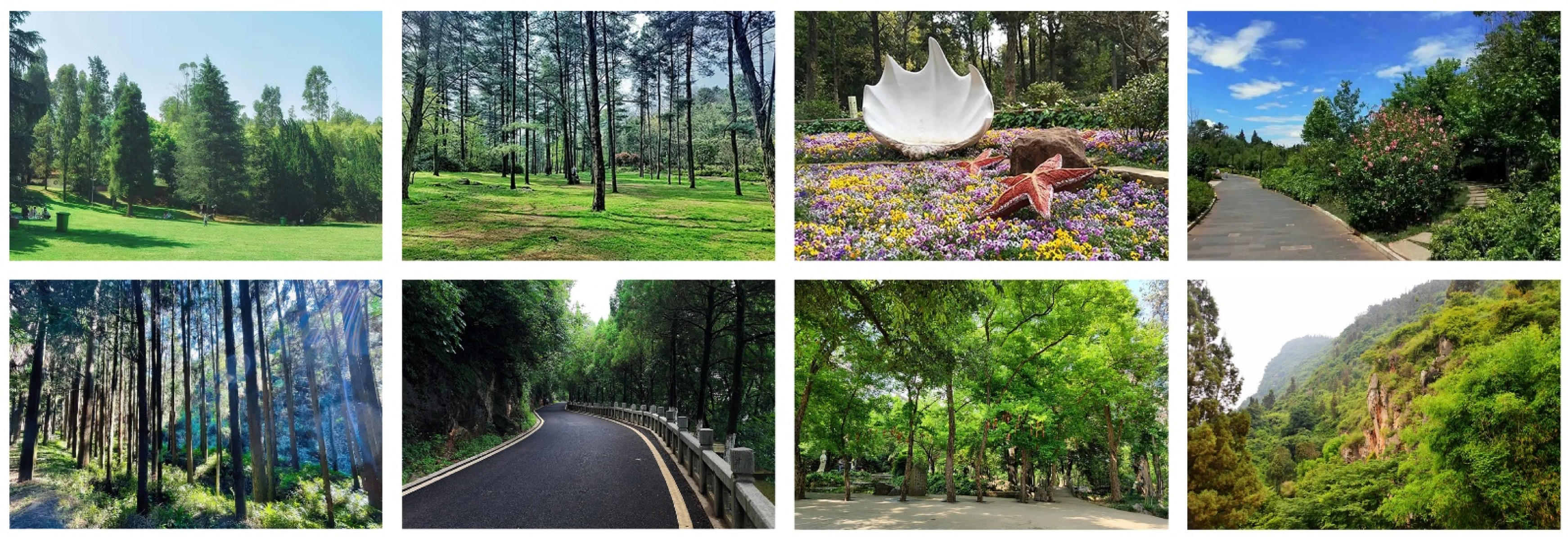 Forests 16 00648 g0a1