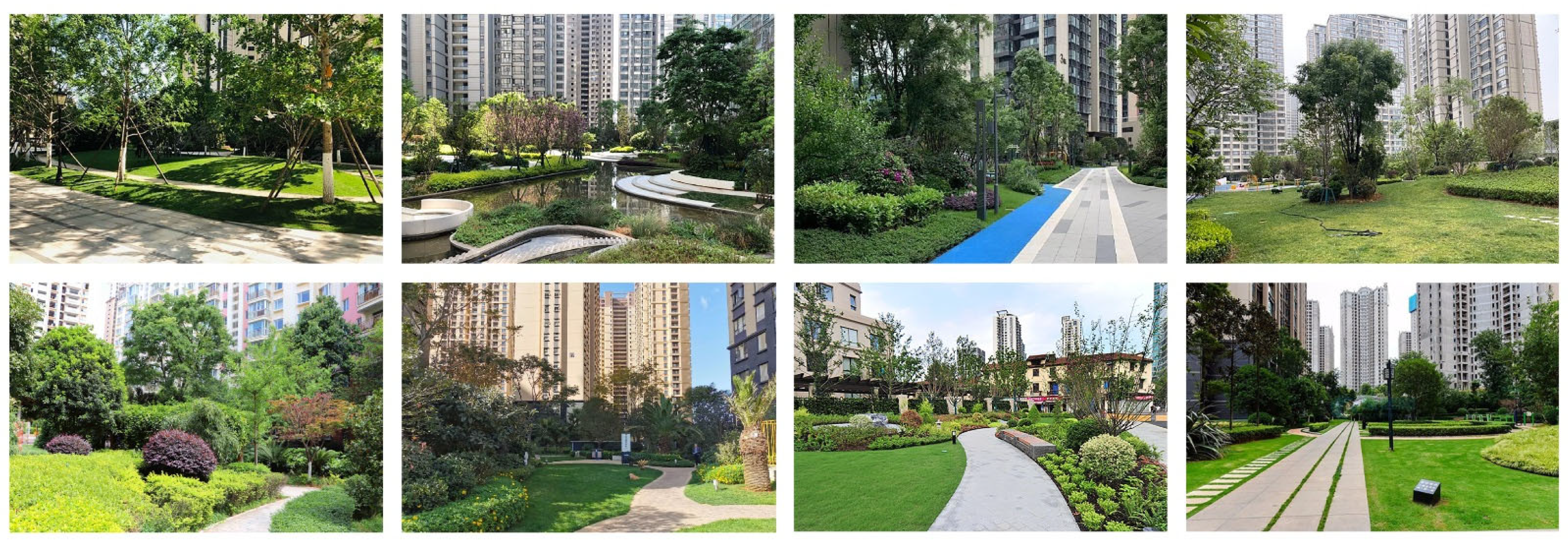 Forests 16 00648 g0a2