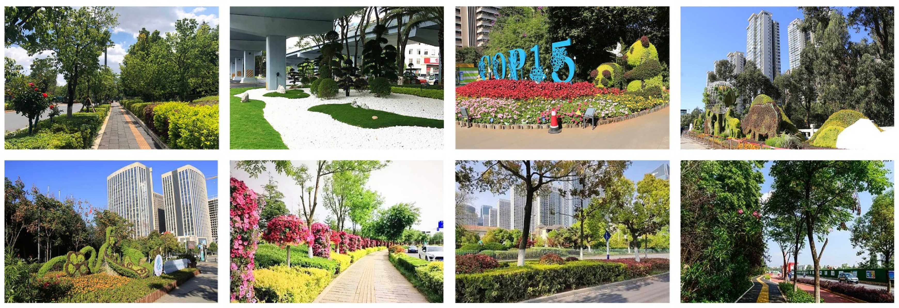 Forests 16 00648 g0a3