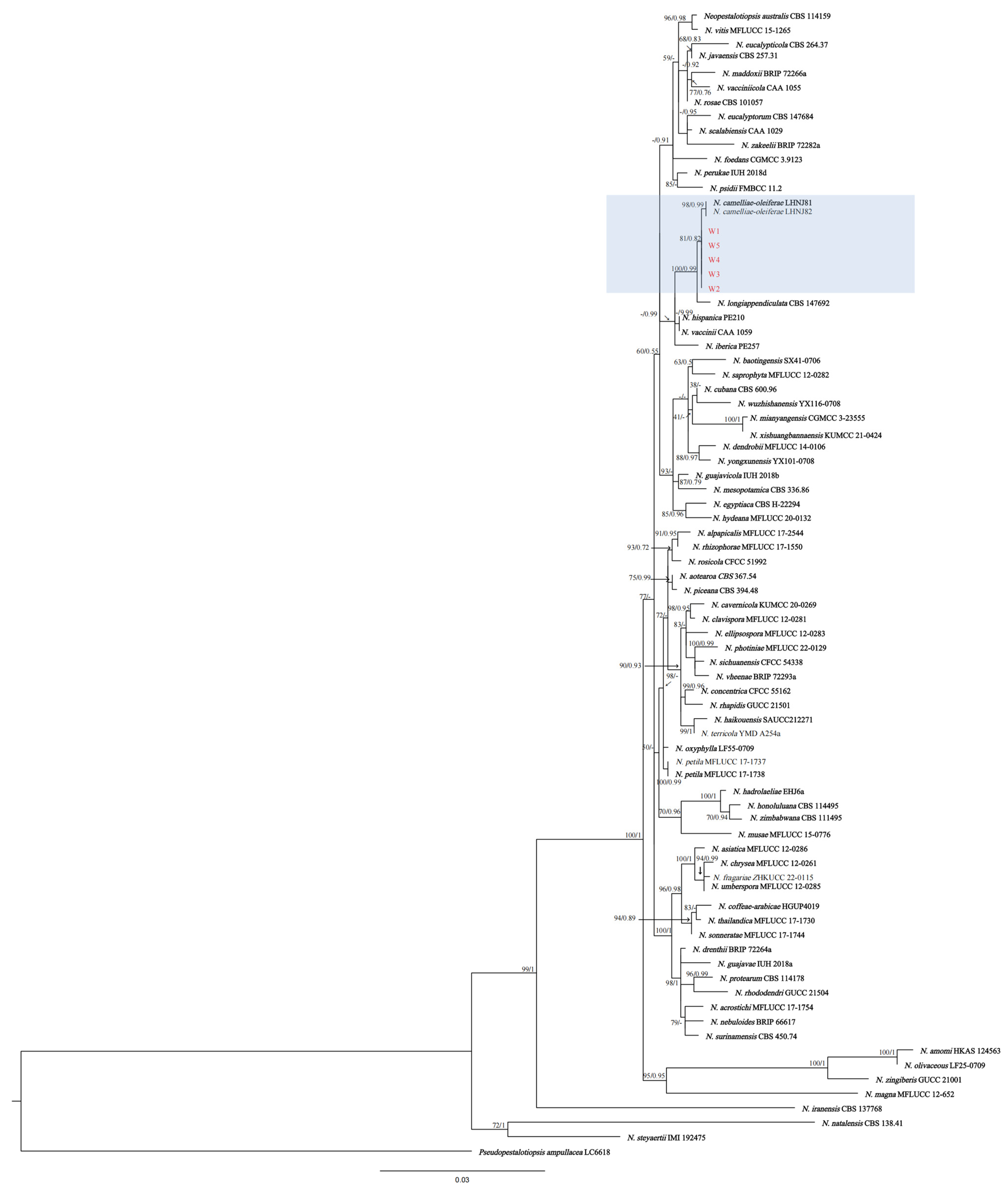 Forests 16 00650 g002 Forests 16 00650 g002