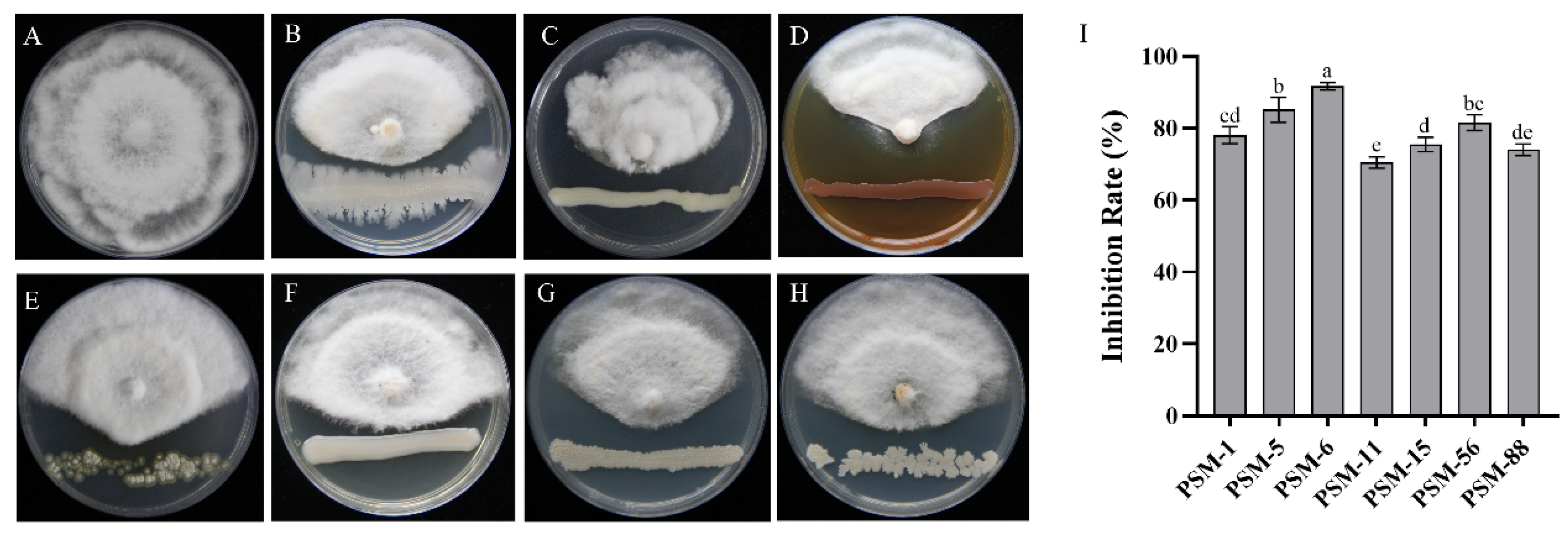 Forests 16 00650 g003 Forests 16 00650 g003
