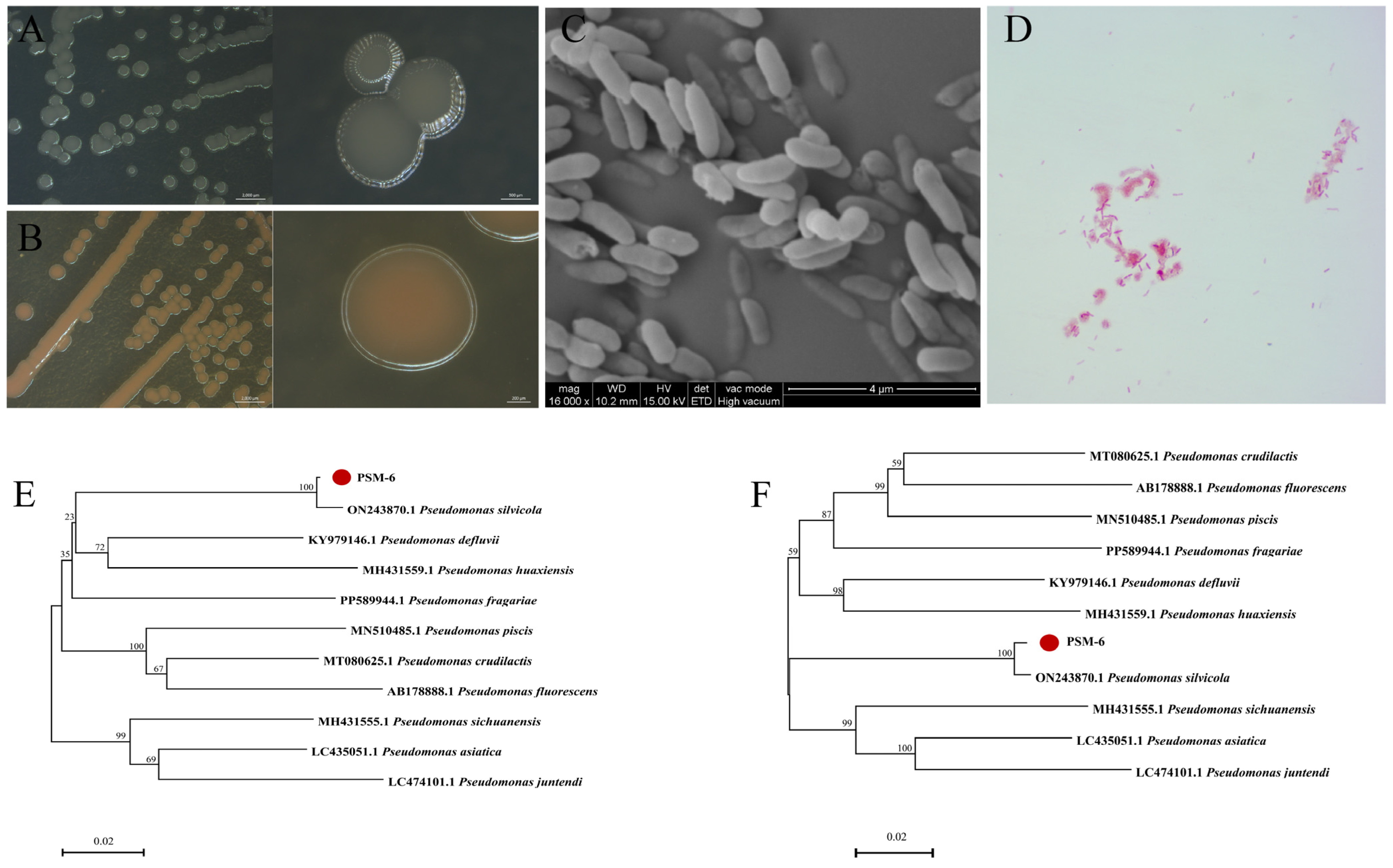 Forests 16 00650 g004 Forests 16 00650 g004